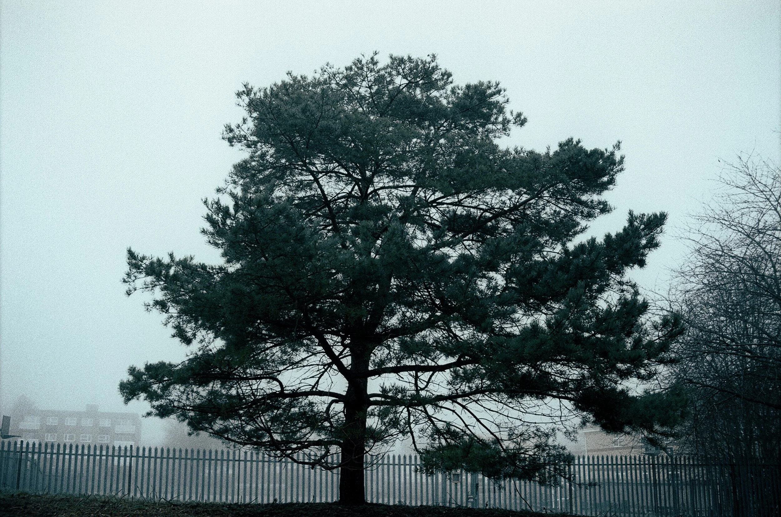 0019_17.jpg