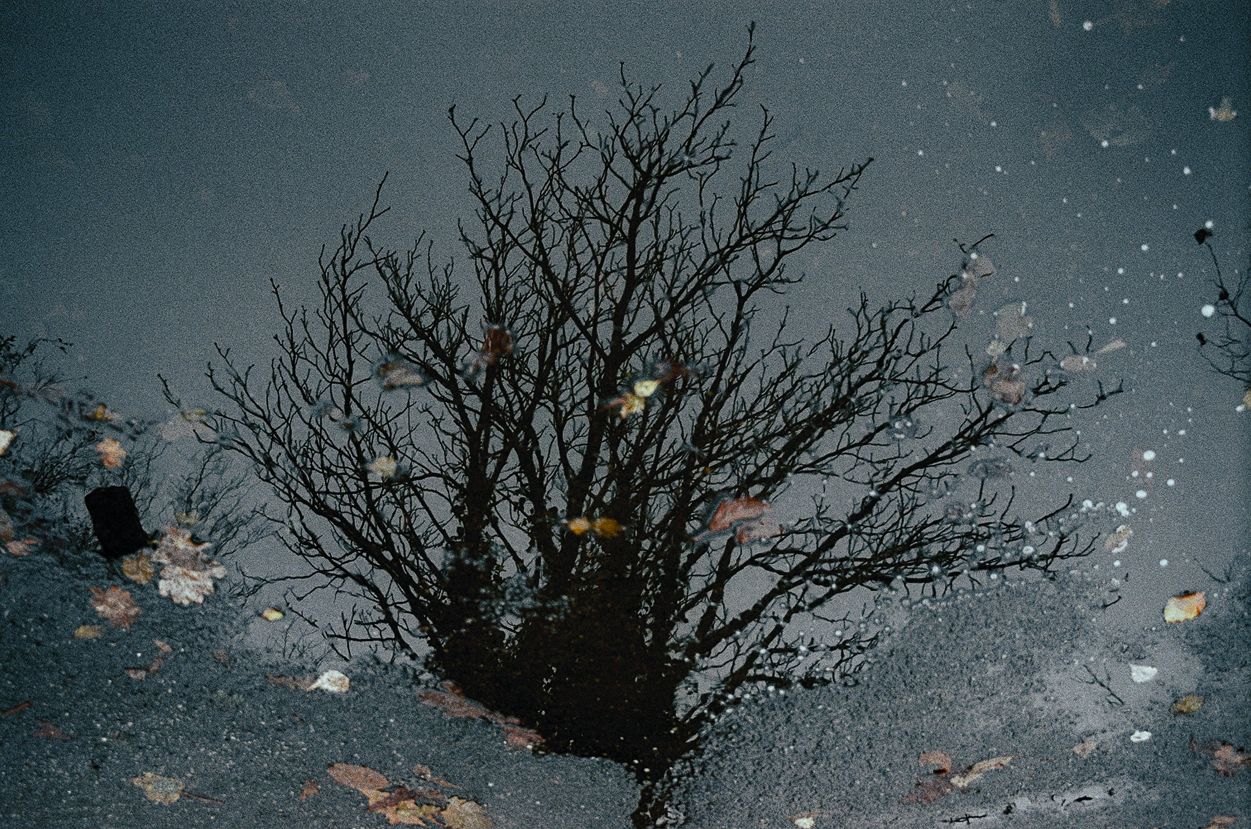 0006_30.jpg