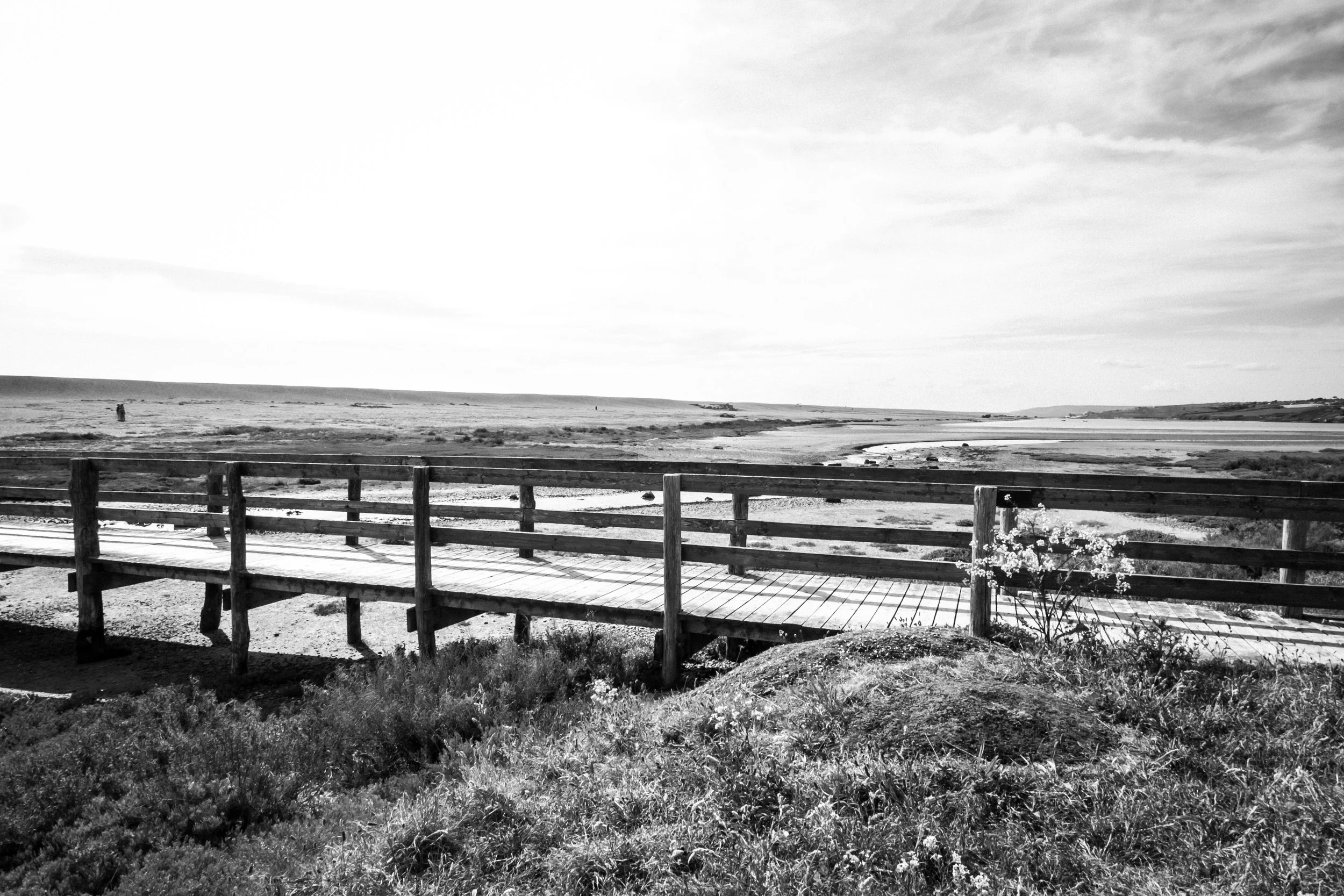 DSCF4399.jpg