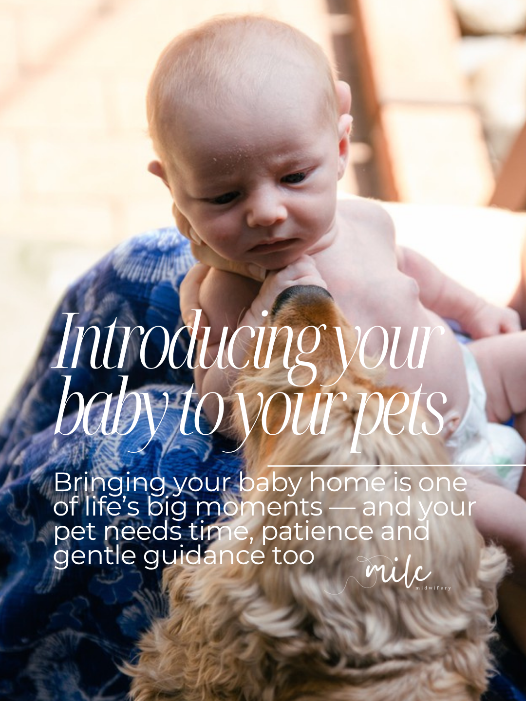 A baby and a dog with a brick wall background, baby is holding the dog gently.