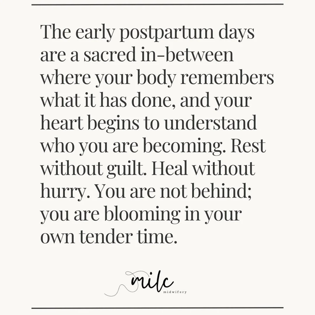 A thought of mine during my own early postpartum.

REST without guilt.
HEAL without hurry.
You are BLOOMING in your own tender time. 🌿

#pregnancyjourney #midwifelife #bodyimage #honestmotherhood #womensbodiesareamazing #selfcompassionjourney #embra
