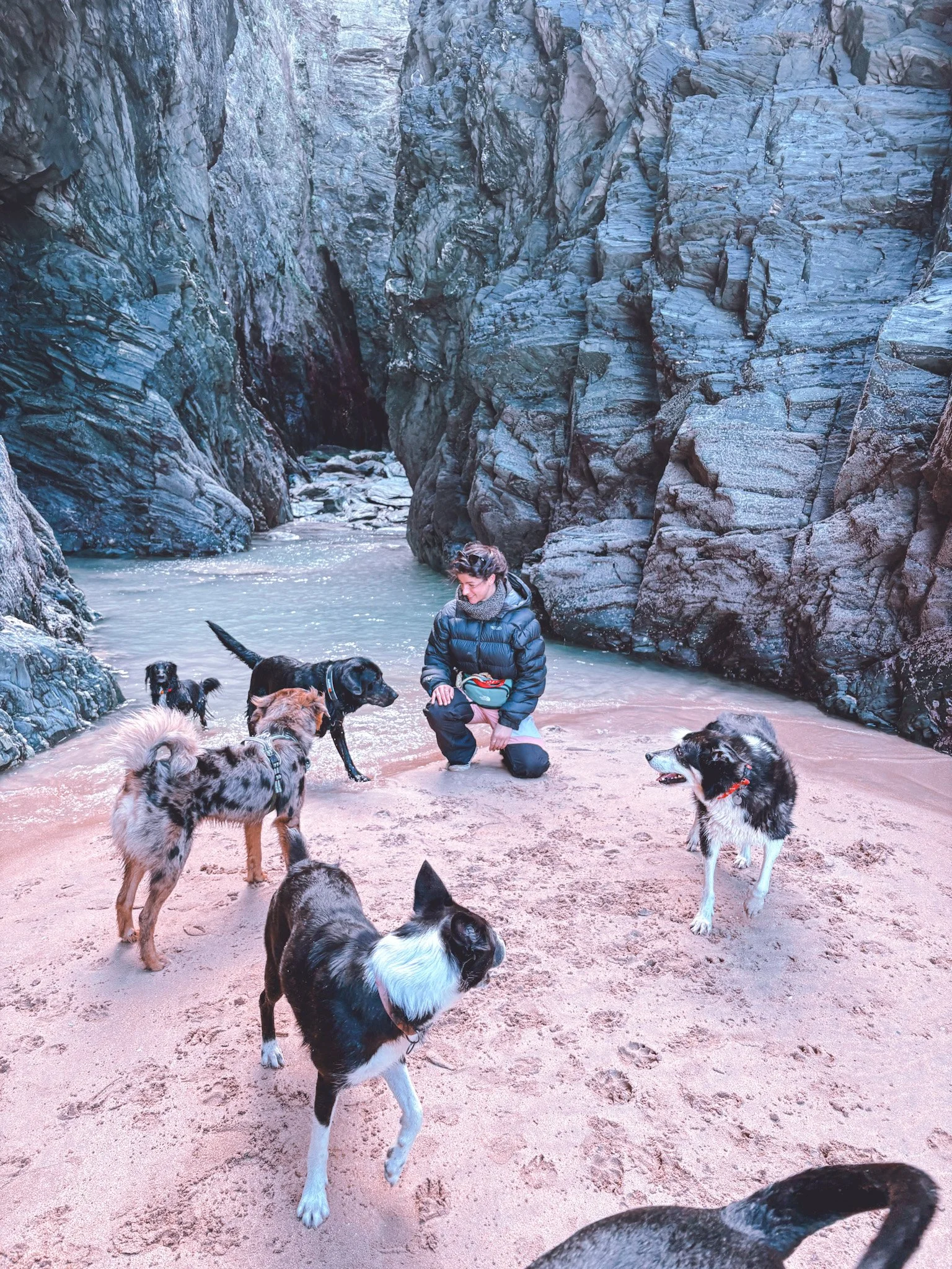 A woman kneeling on a sandy beach with a group of dogs, surrounded by large rocky cliffs, in a narrow canyon or gorge.