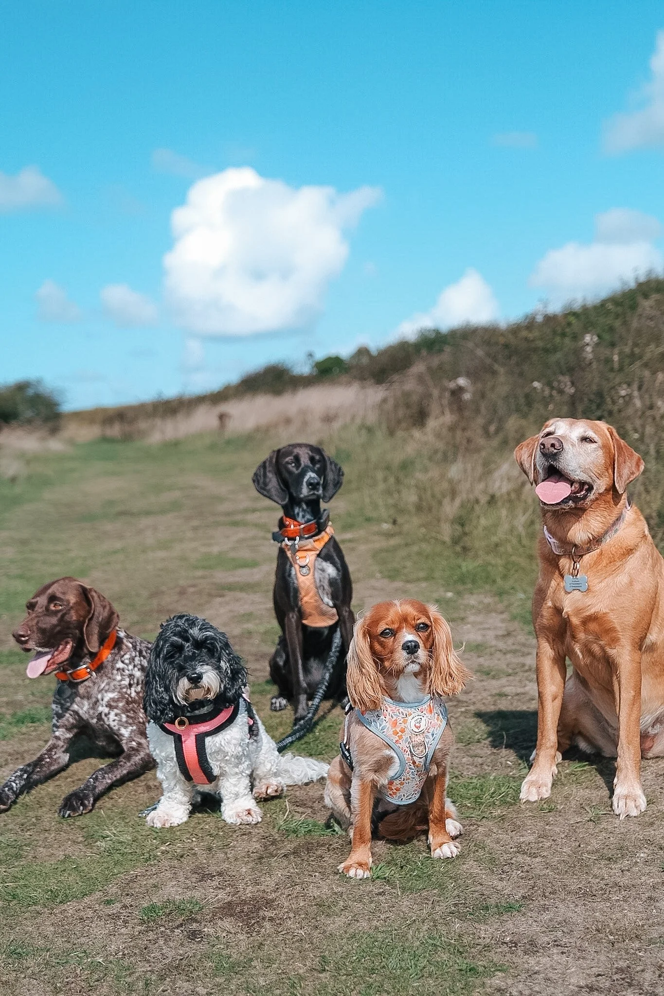 DSCF8867.JPG