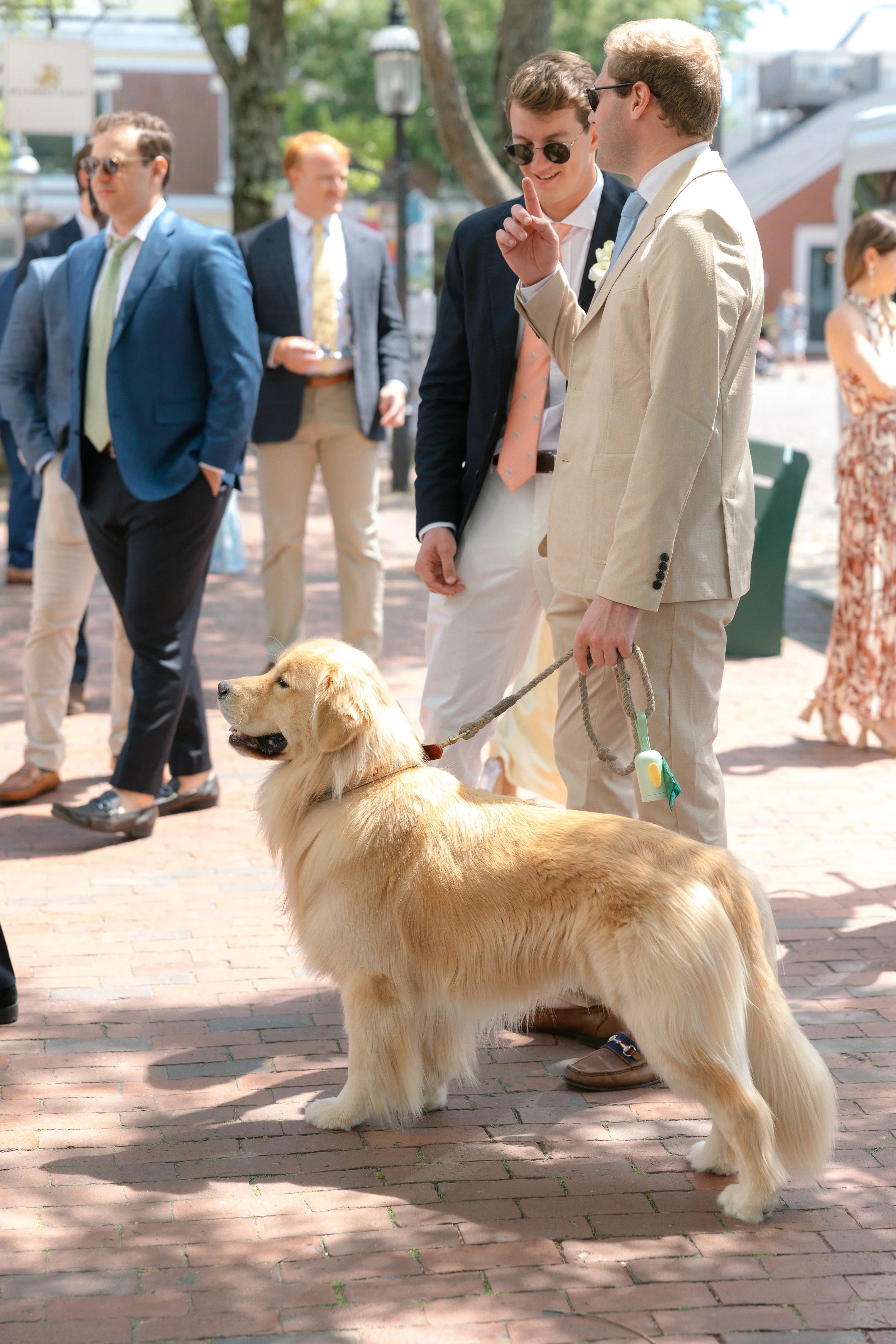 350A3797.jpg