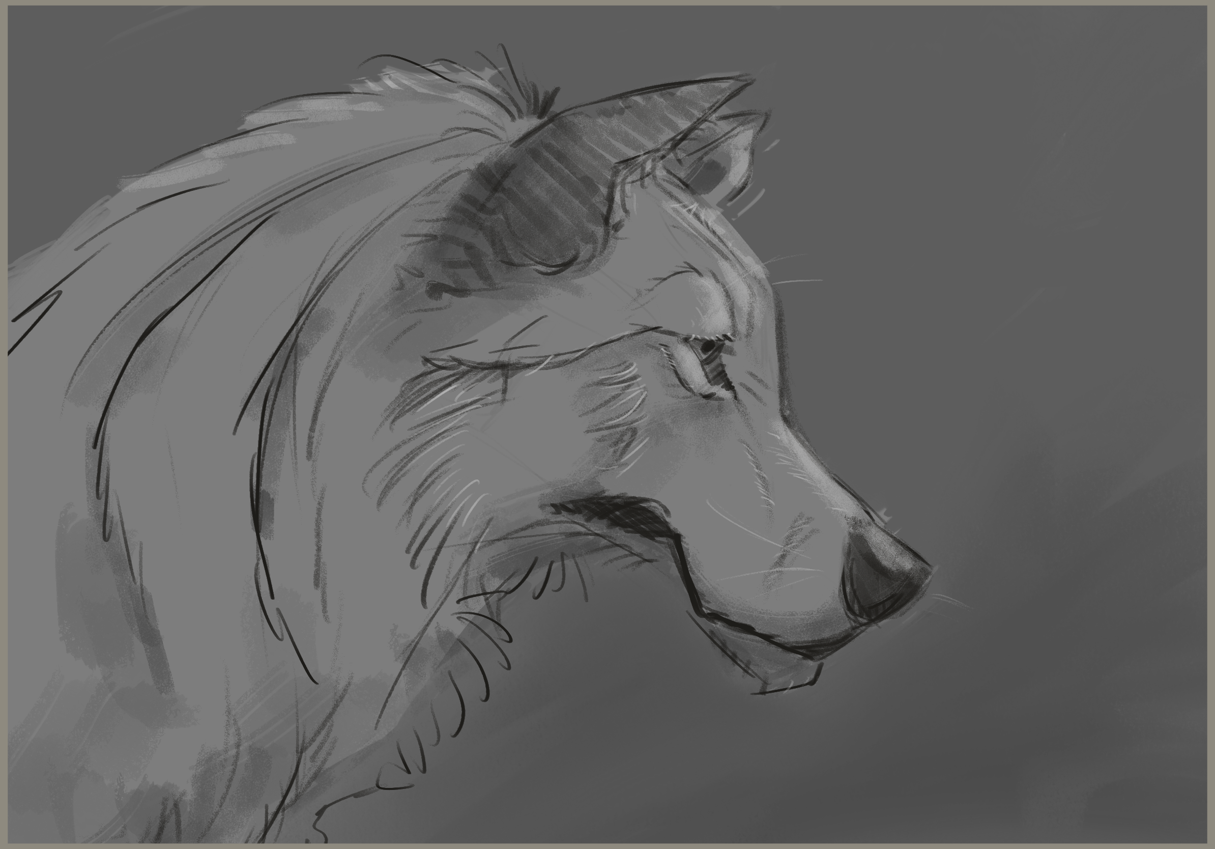 Sketch of a lion's head with a mane, focusing on the face and profile, in black and gray tones.