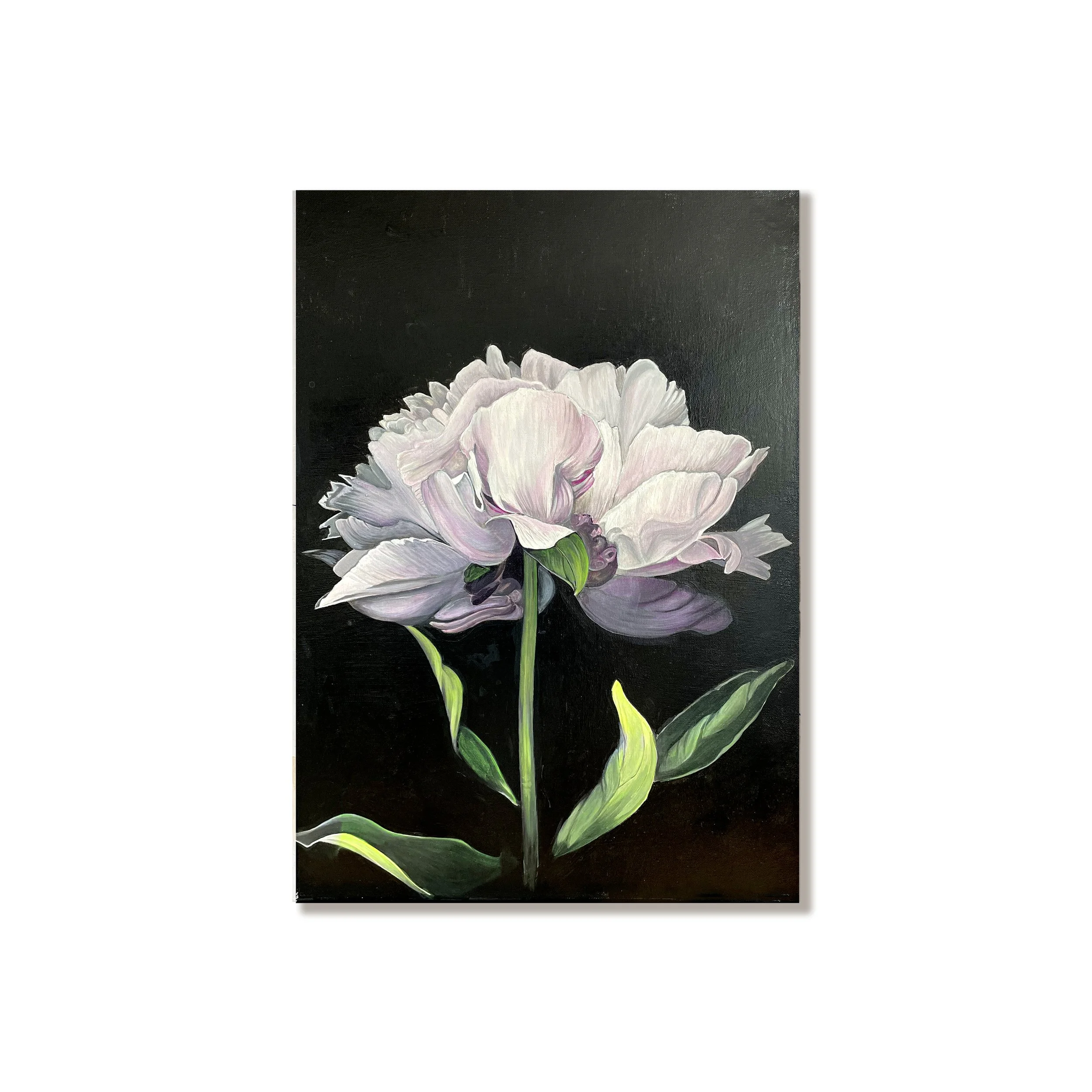 Peony