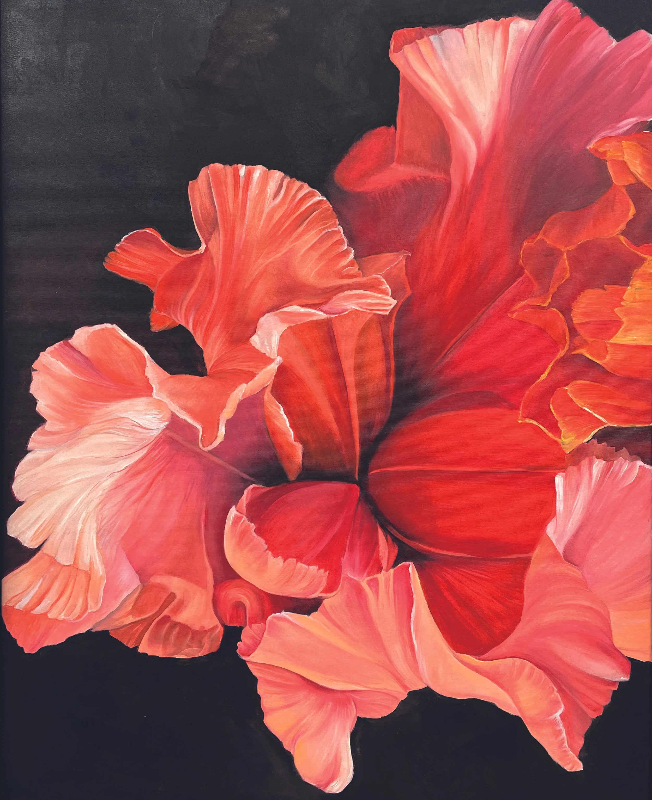 Orange Iris 80x100.jpg