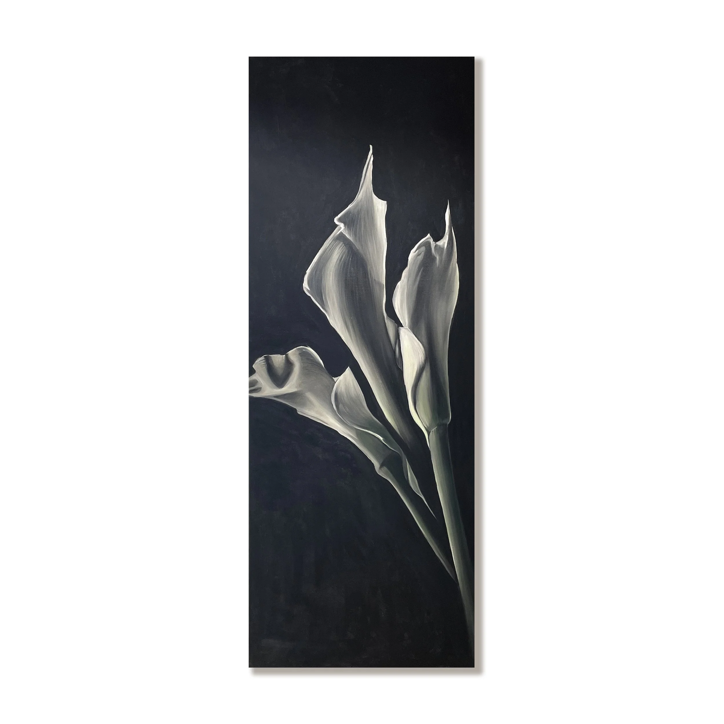 Calla