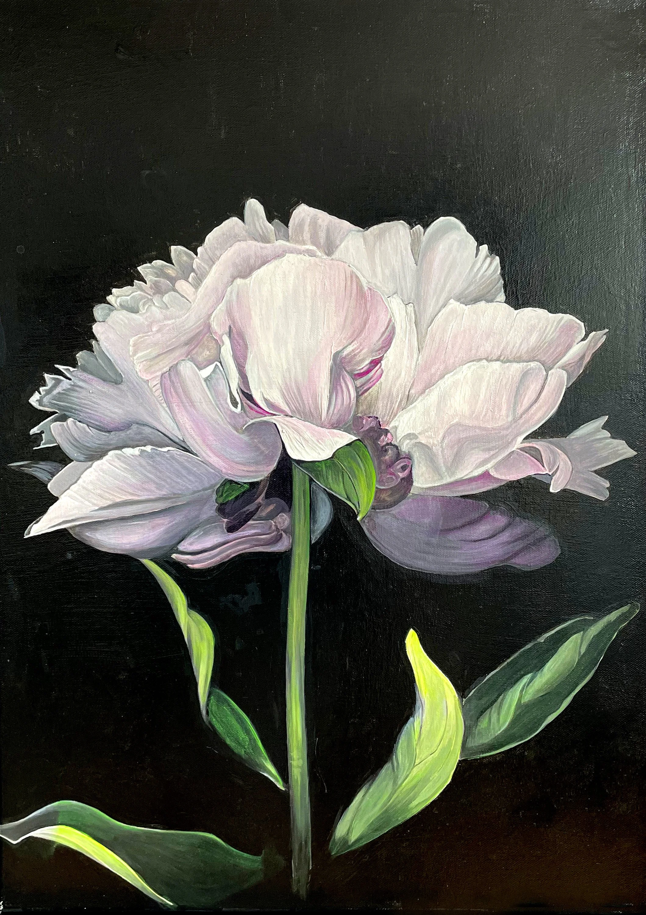 Peony 50x60.jpg