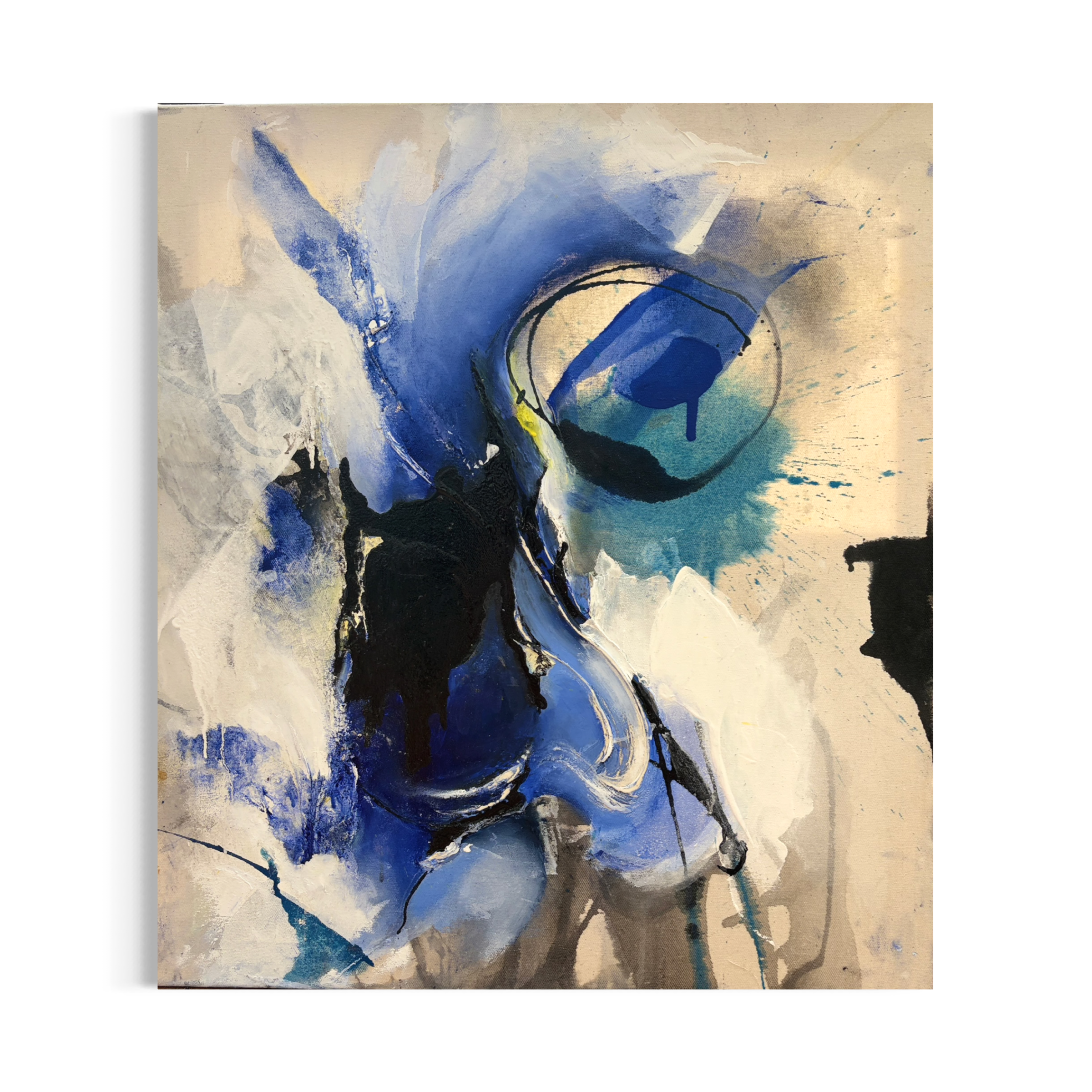 North 70x80 990€