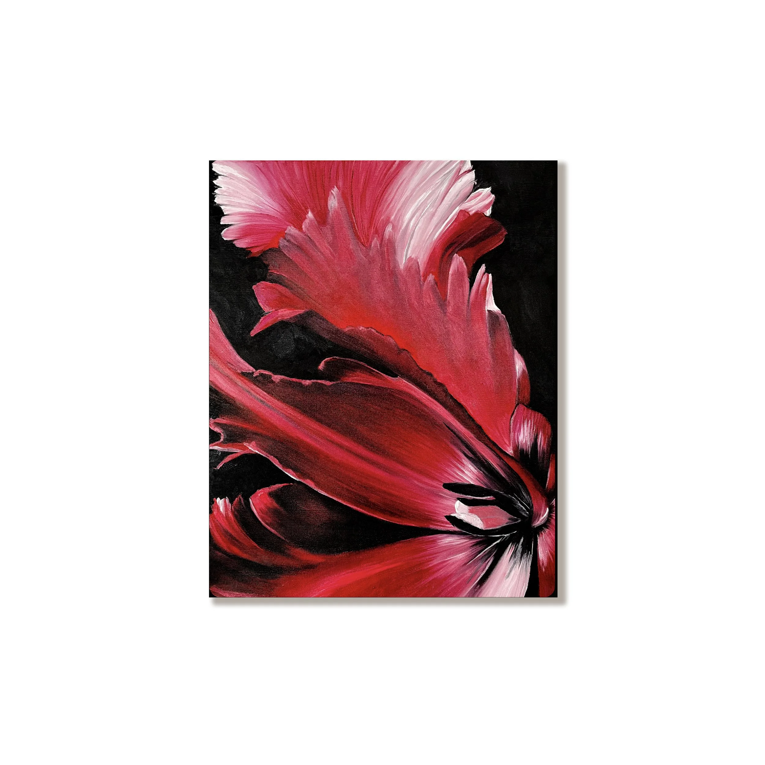 Red Tulip