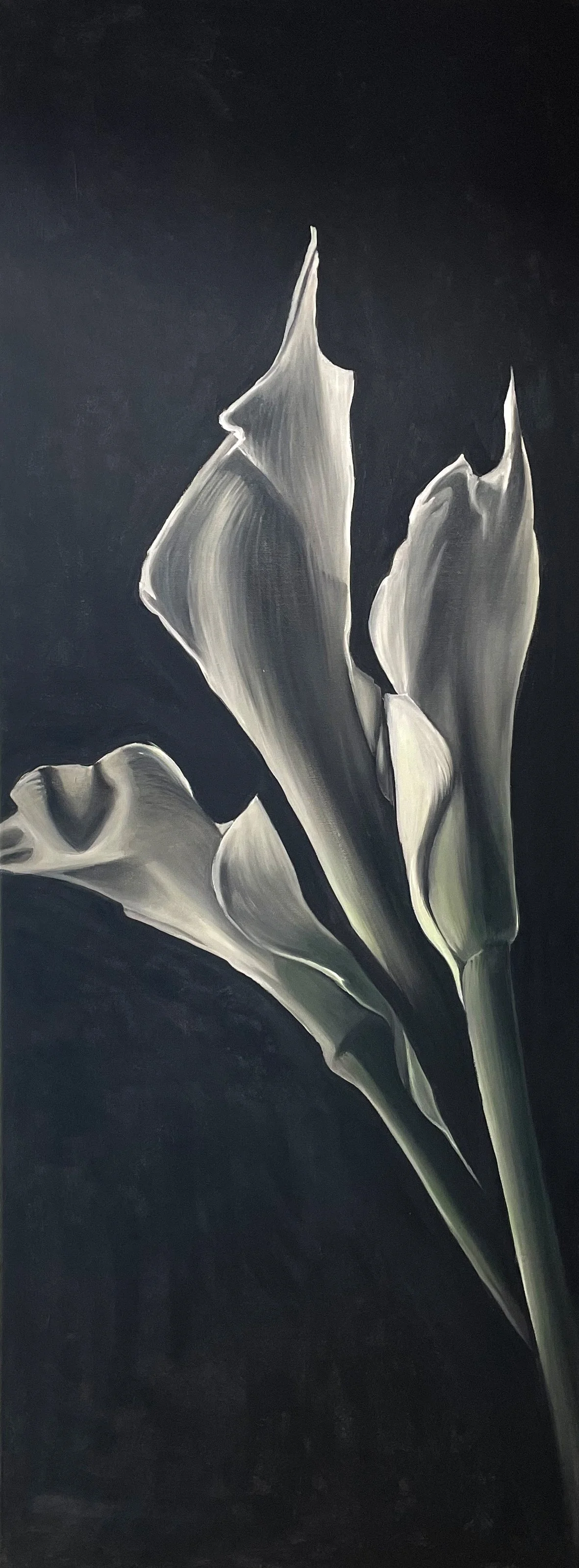 Calla 60x160 2022.JPG