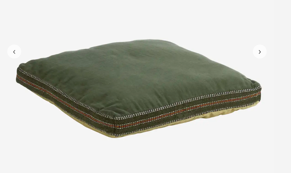 Green Embroidered Edge Cushion