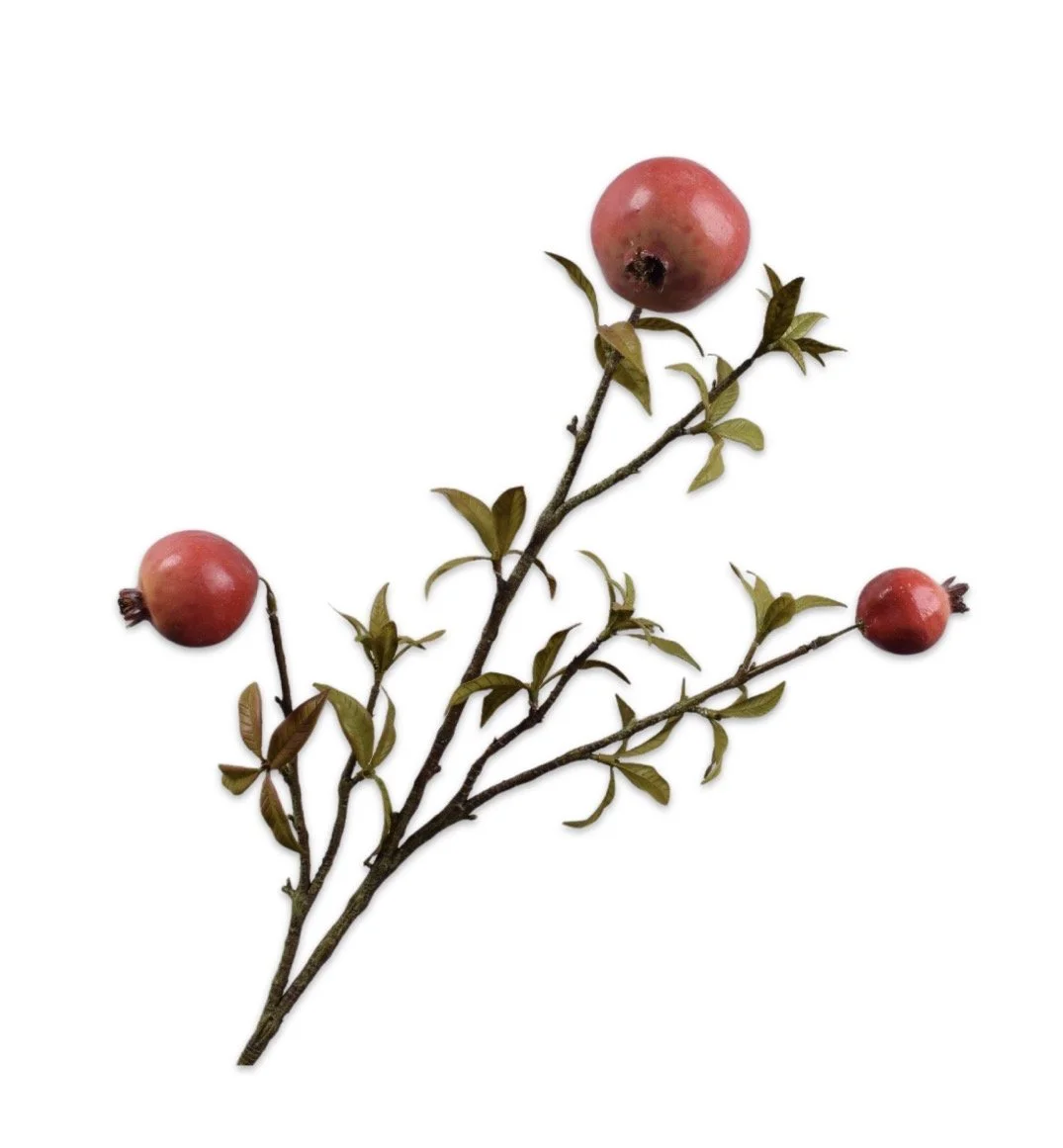 Pomegranate Spray Red