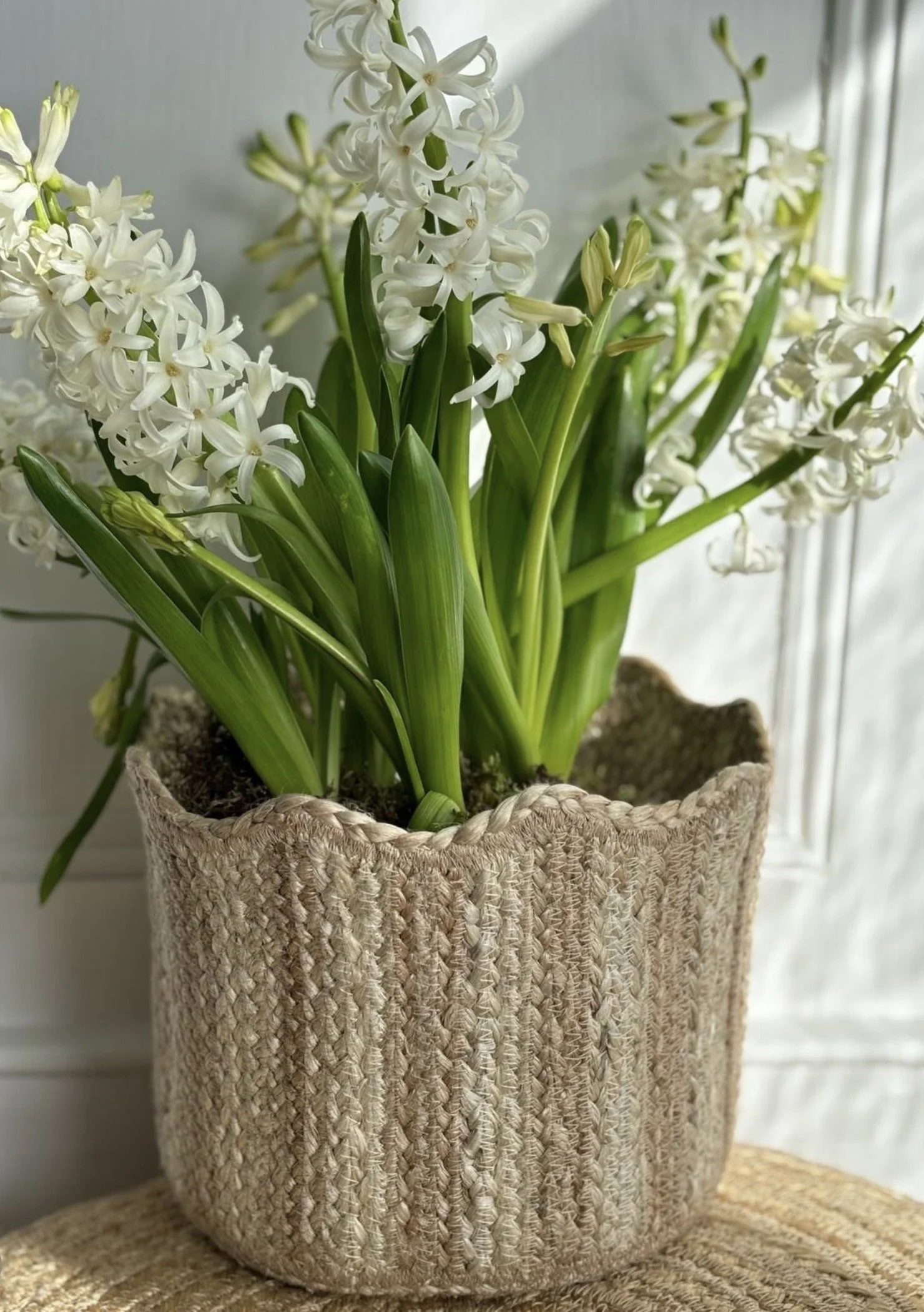 Tulip Basket Natural Stripe