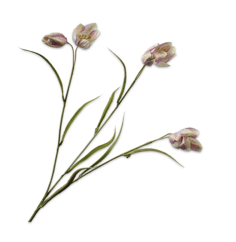 Fritillaria Spray Pink