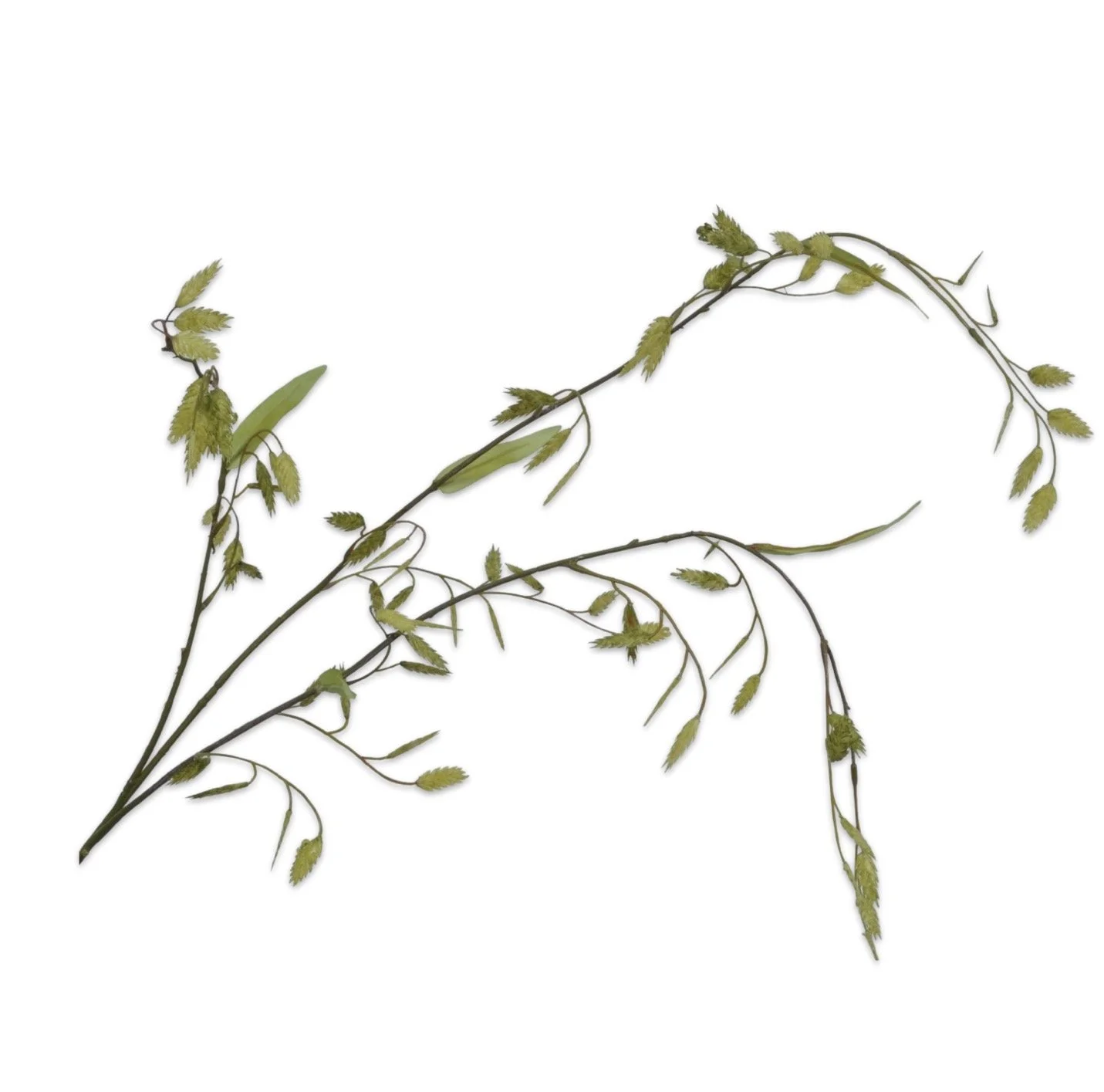 Grass Spray Green