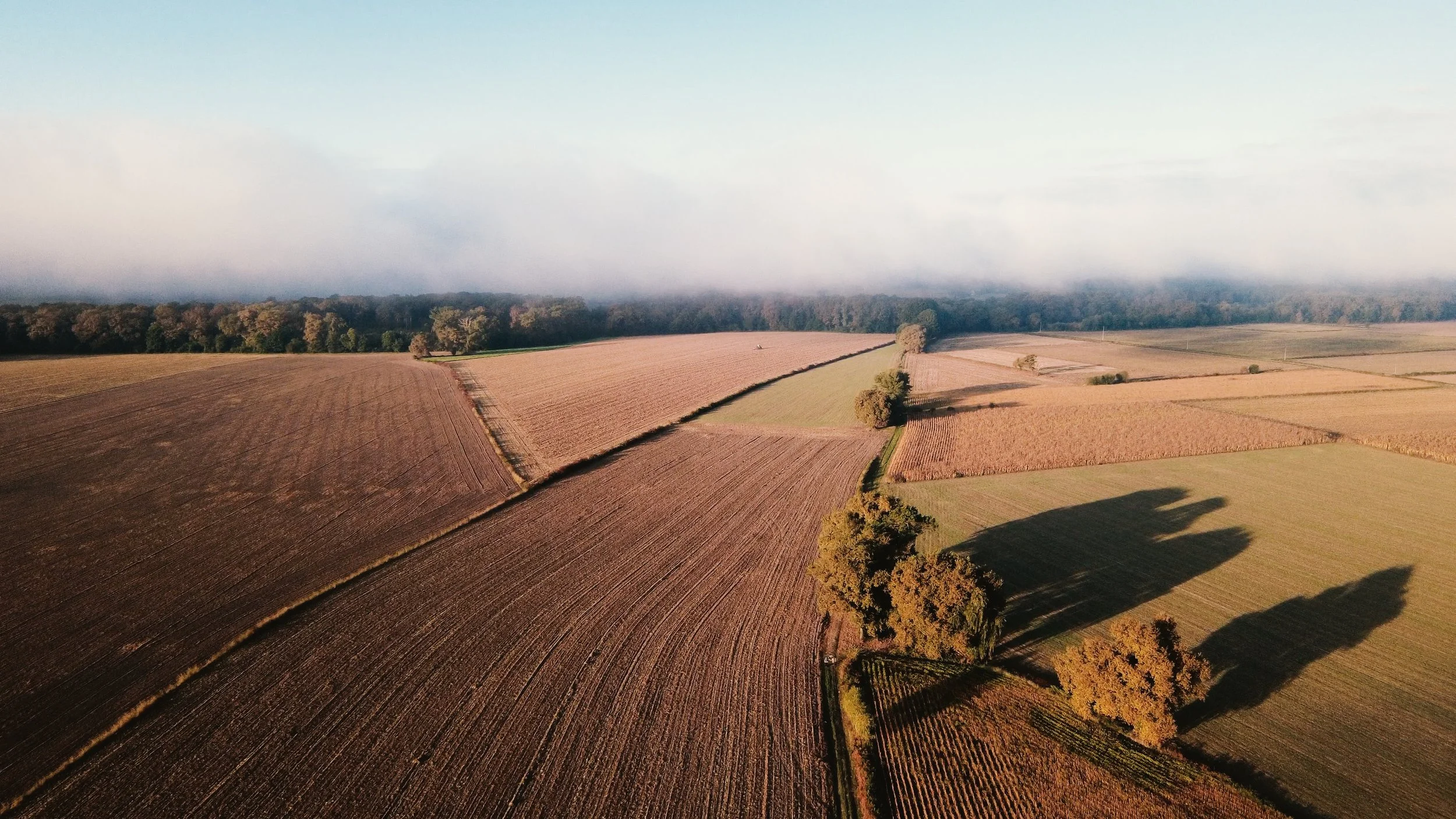 Aerial view of farmland with fields divided by tree-lined borders and a forest in the background, under a partly cloudy sky.