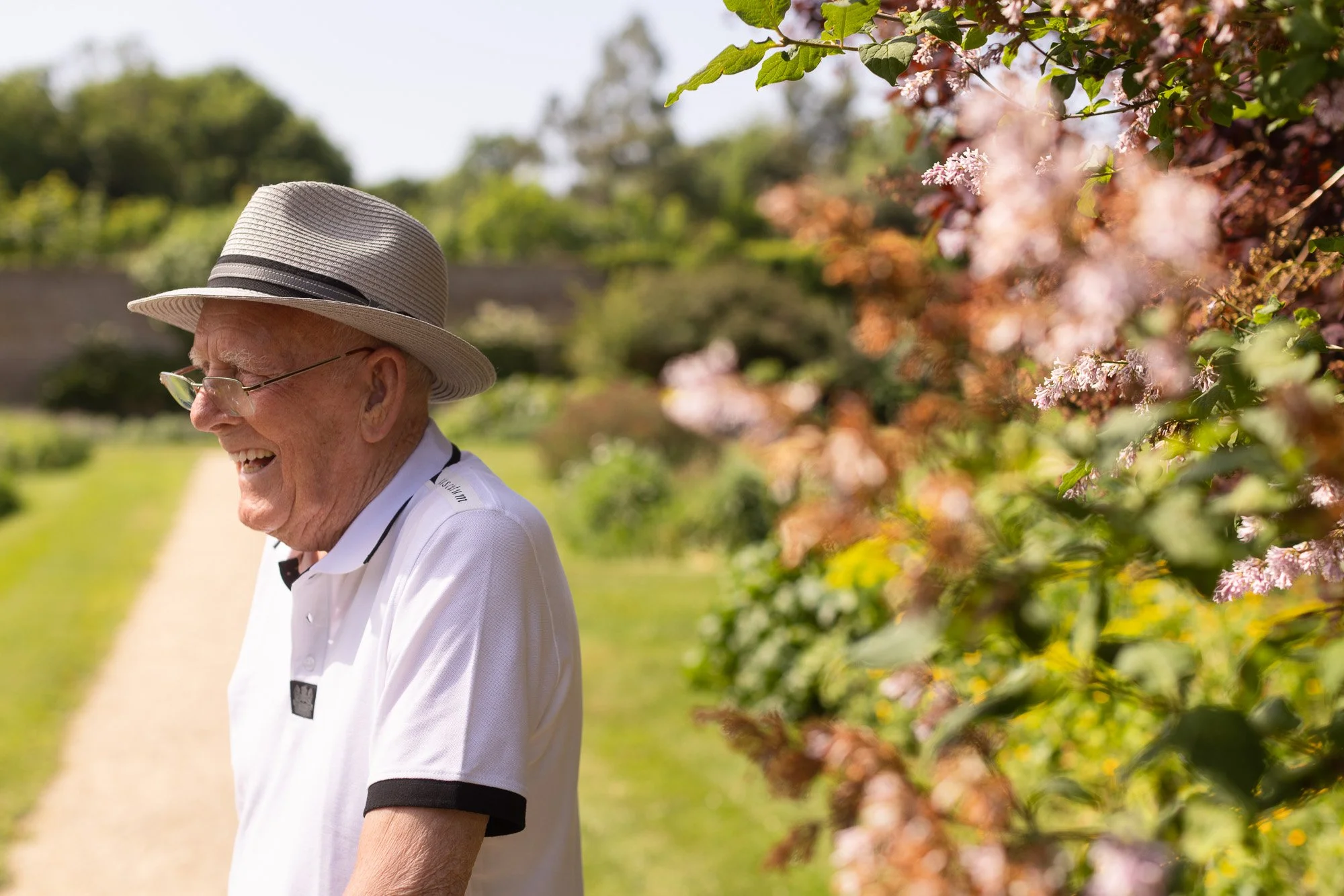 An elderly man with white hair, wearing a light-colored straw hat with a black band, glasses, and a white golf shirt, smiling outdoors along a garden path lined with pink flowering bushes.