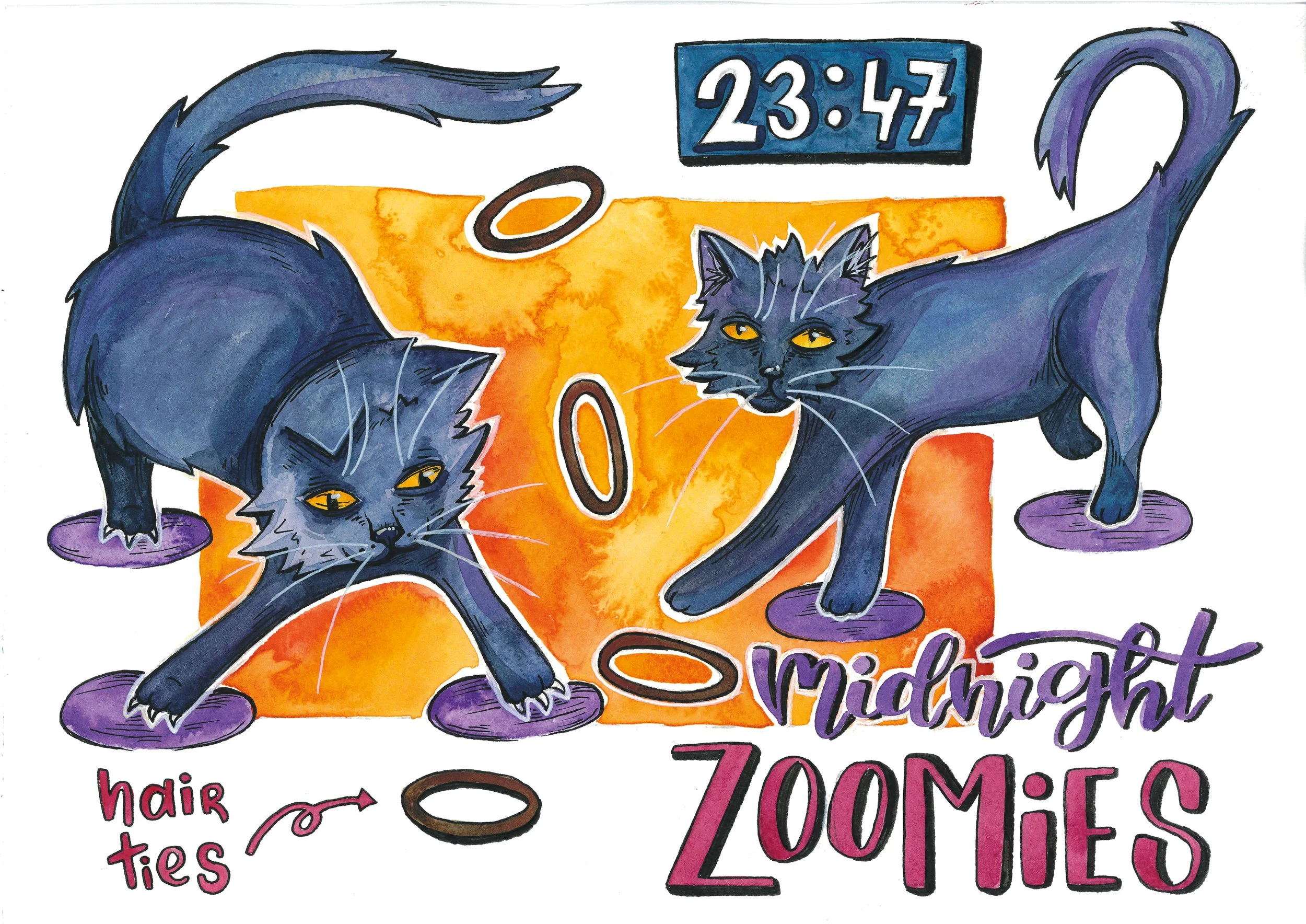 midnight zoomies page.jpg