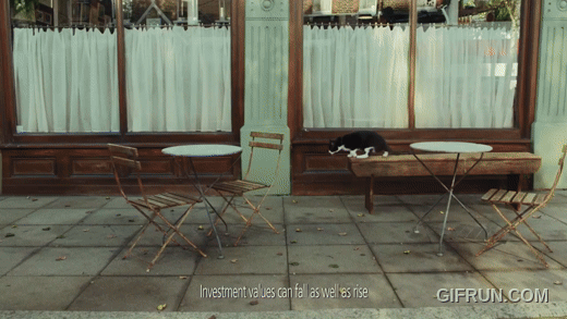 Click Gif 3.gif