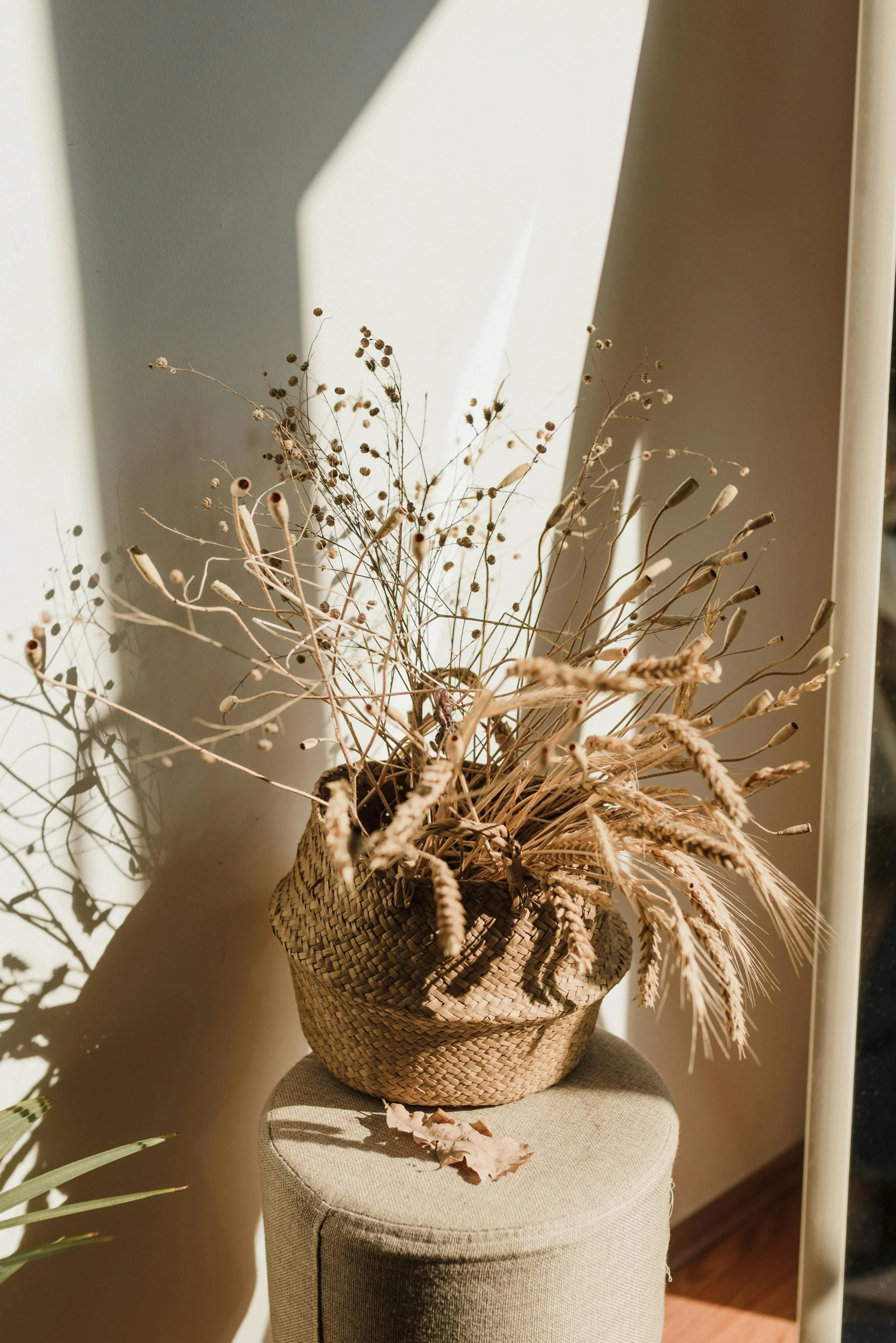 A woven basket filled with dried plants and flowers placed on a fabric-covered stool in front of a beige wall with shadows.
