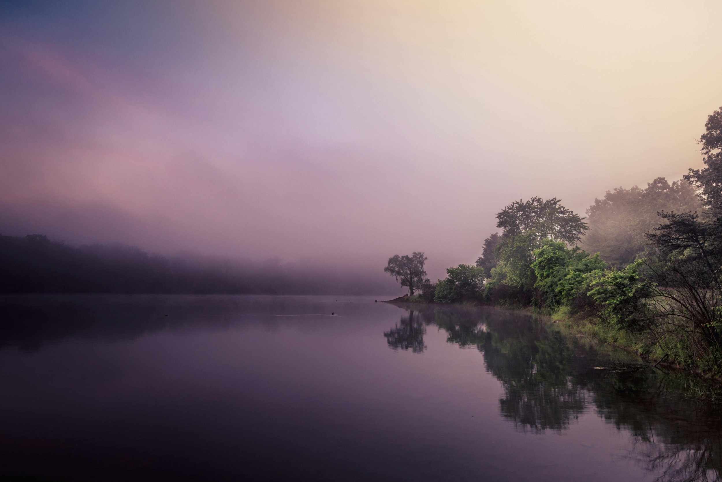 A serene river scene at dawn with calm water reflecting trees on the right bank, fog over the water, and a pastel-colored sky with pink, purple, and beige hues.