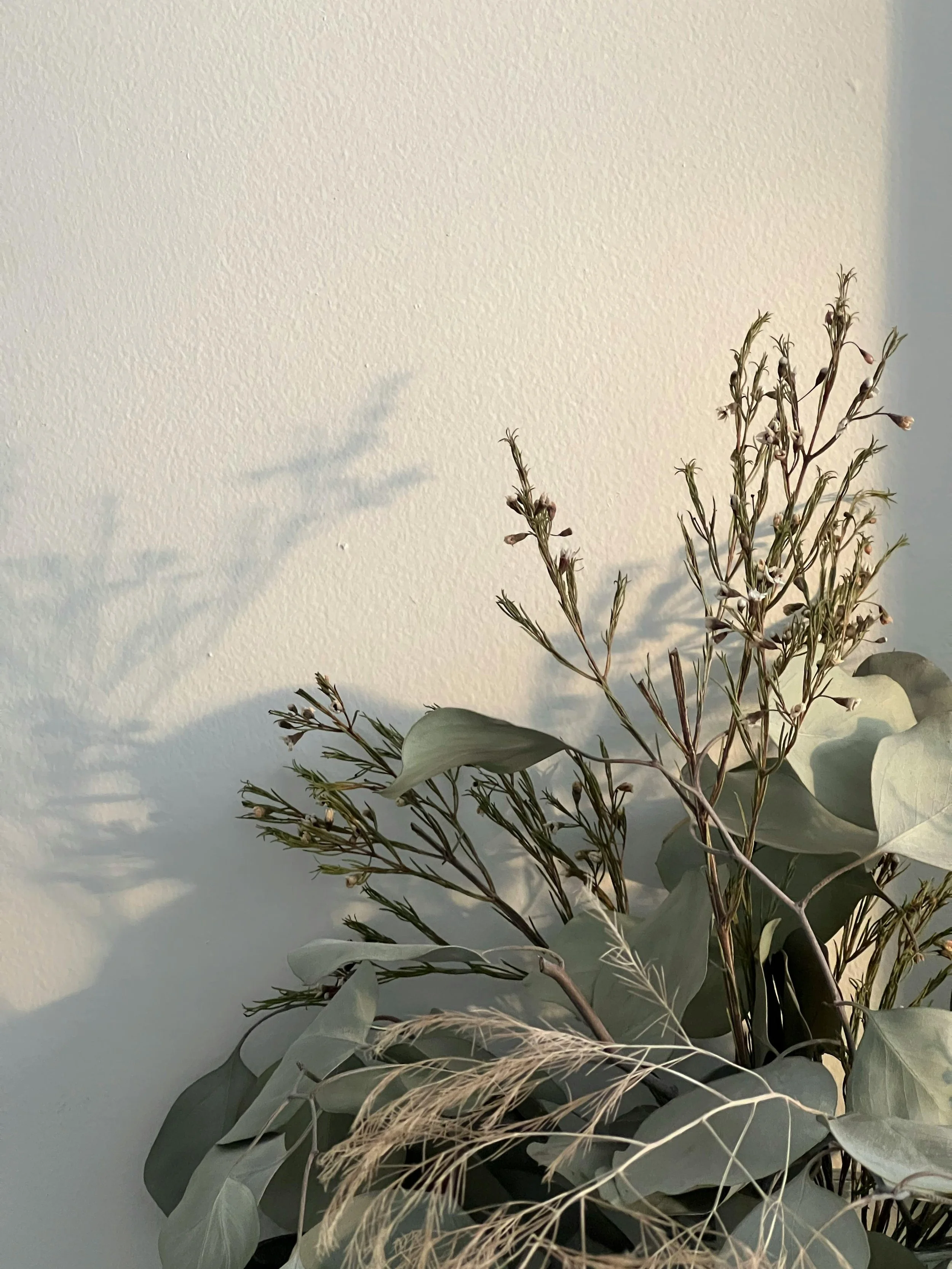 A bouquet of dried and fresh greenery, including eucalyptus leaves and other dried branches, placed against a plain white wall.