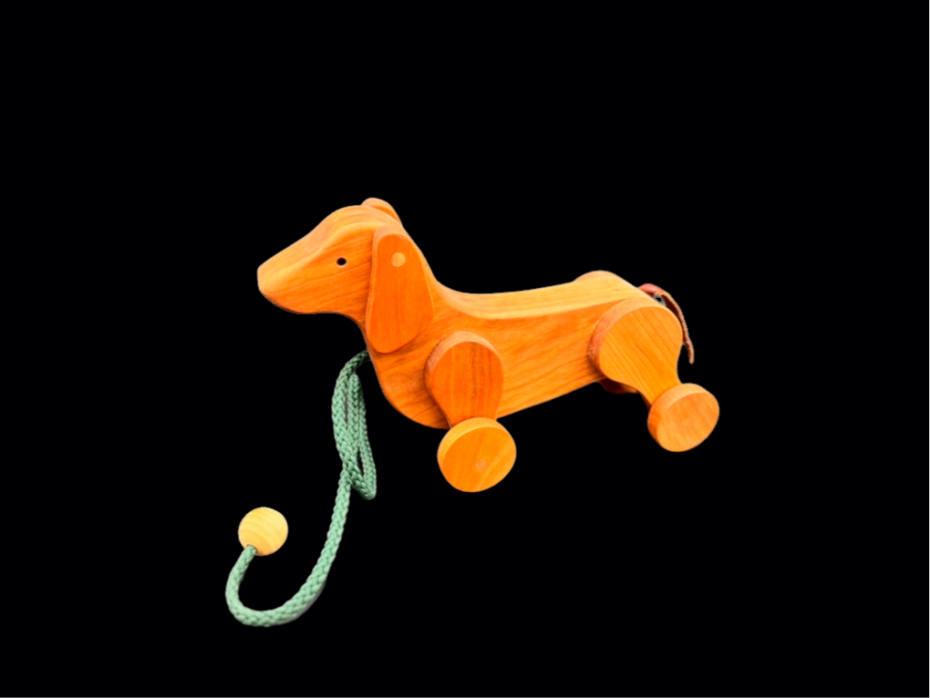 Toy Dachshund