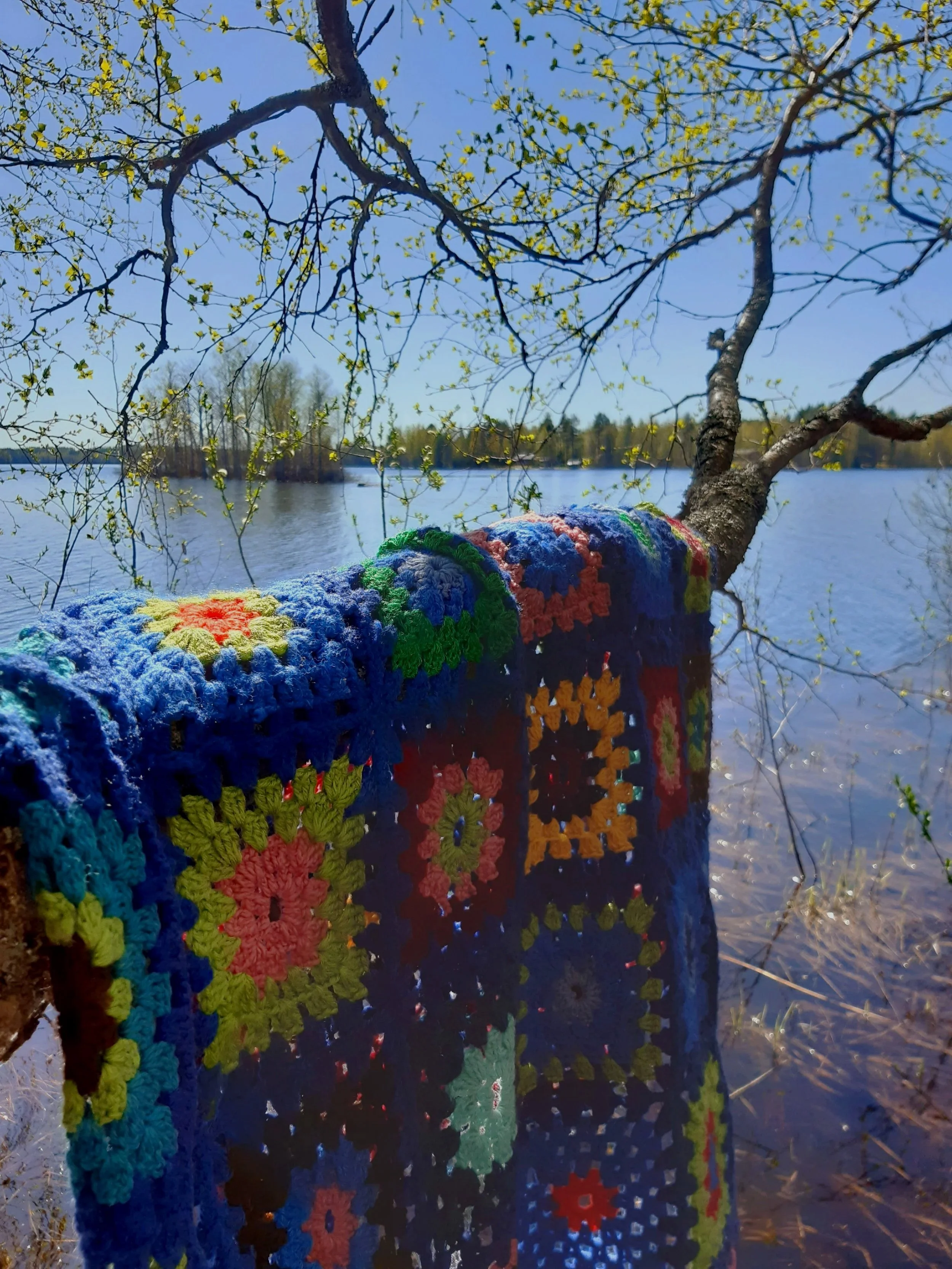Kuusi, jonka oksat ovat juuri lehdet kasvamassa ja taustalla sininen taivas. Edessä oleva vanha puu, johon on sidottu värikkäitä huovutettuja tai kudottuja mattoja tai kankaita.