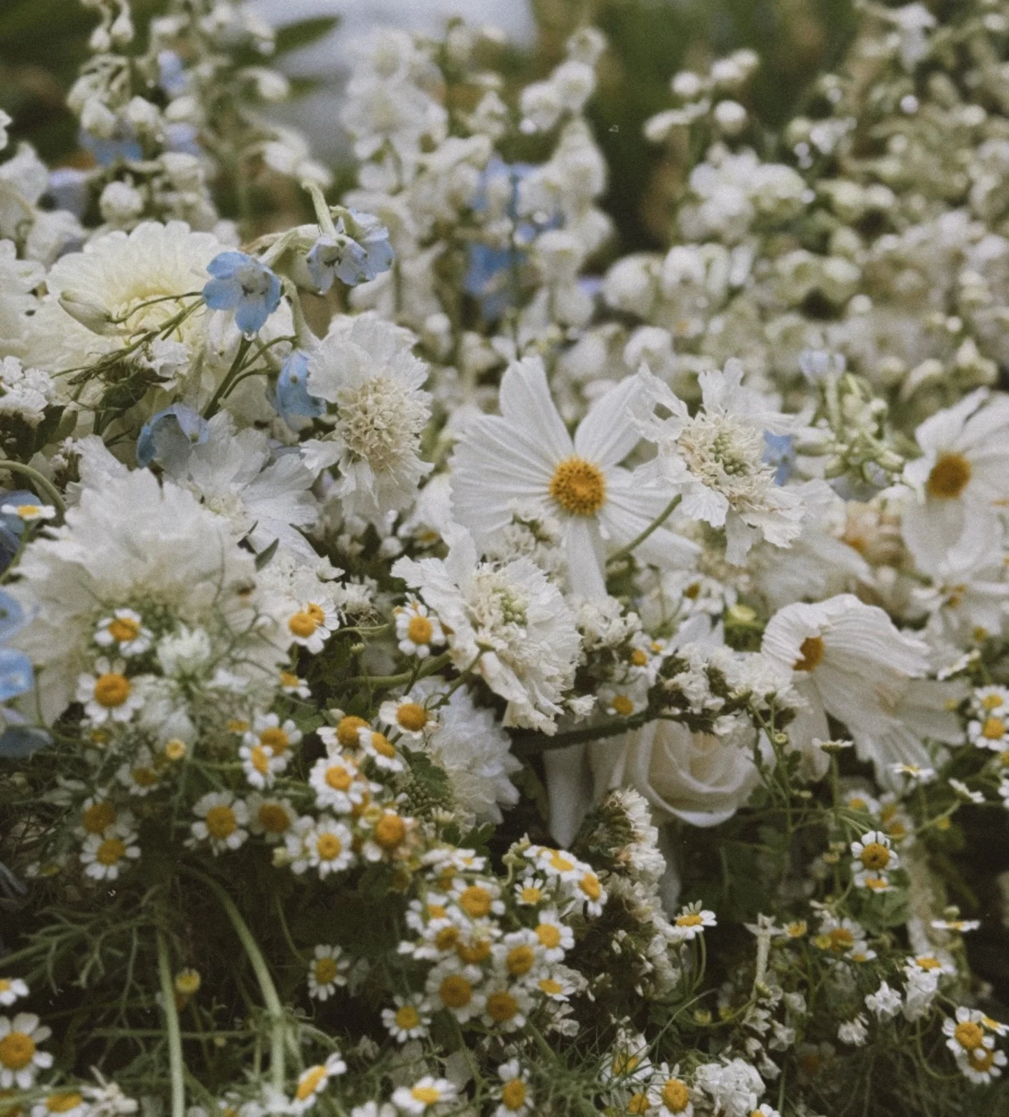 Rustic, elegant and timeless, open for 2026 &amp; 2027 wedding bookings 🤍

So much fun styling on of our local venues @settlersmulgoa  with our signature Wollondilly Shire cottage blooms ✨ Seasonal, romantic and full of that &lsquo;just picked&rsquo