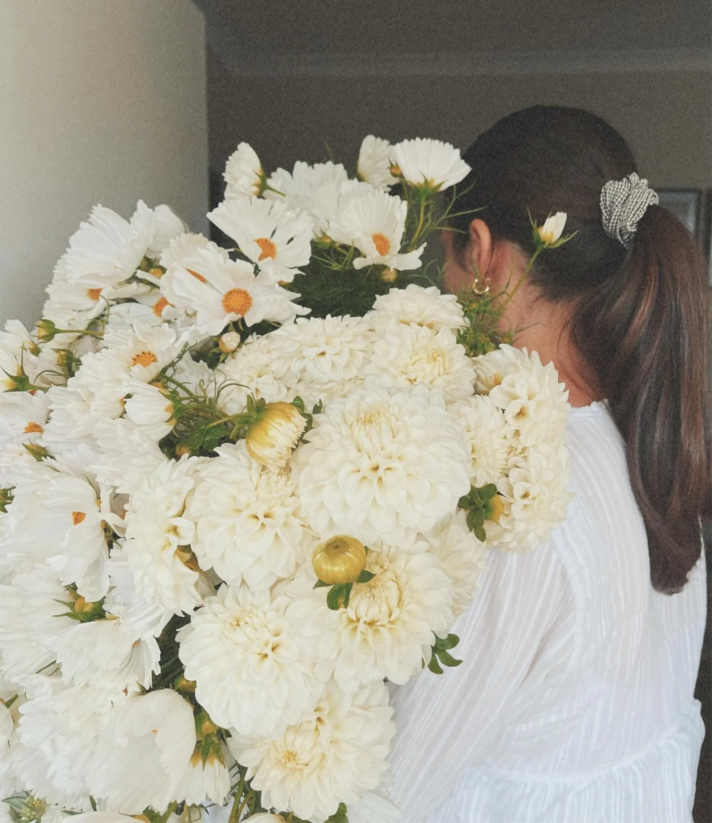 Behind the blooms ✨🍃🤍