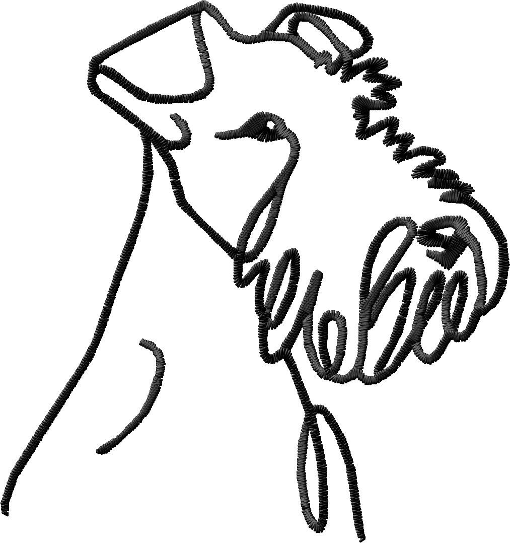 terrier face - side view