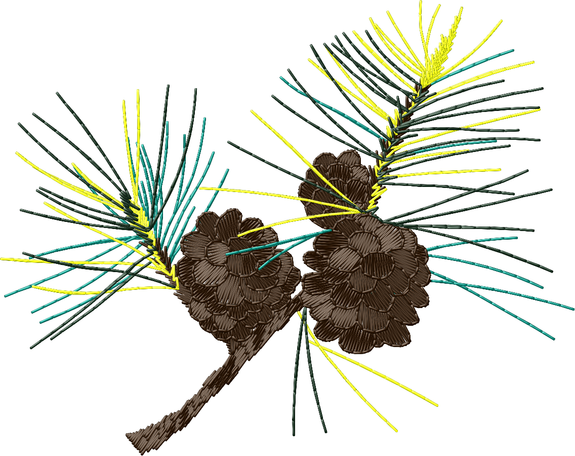 pinecone