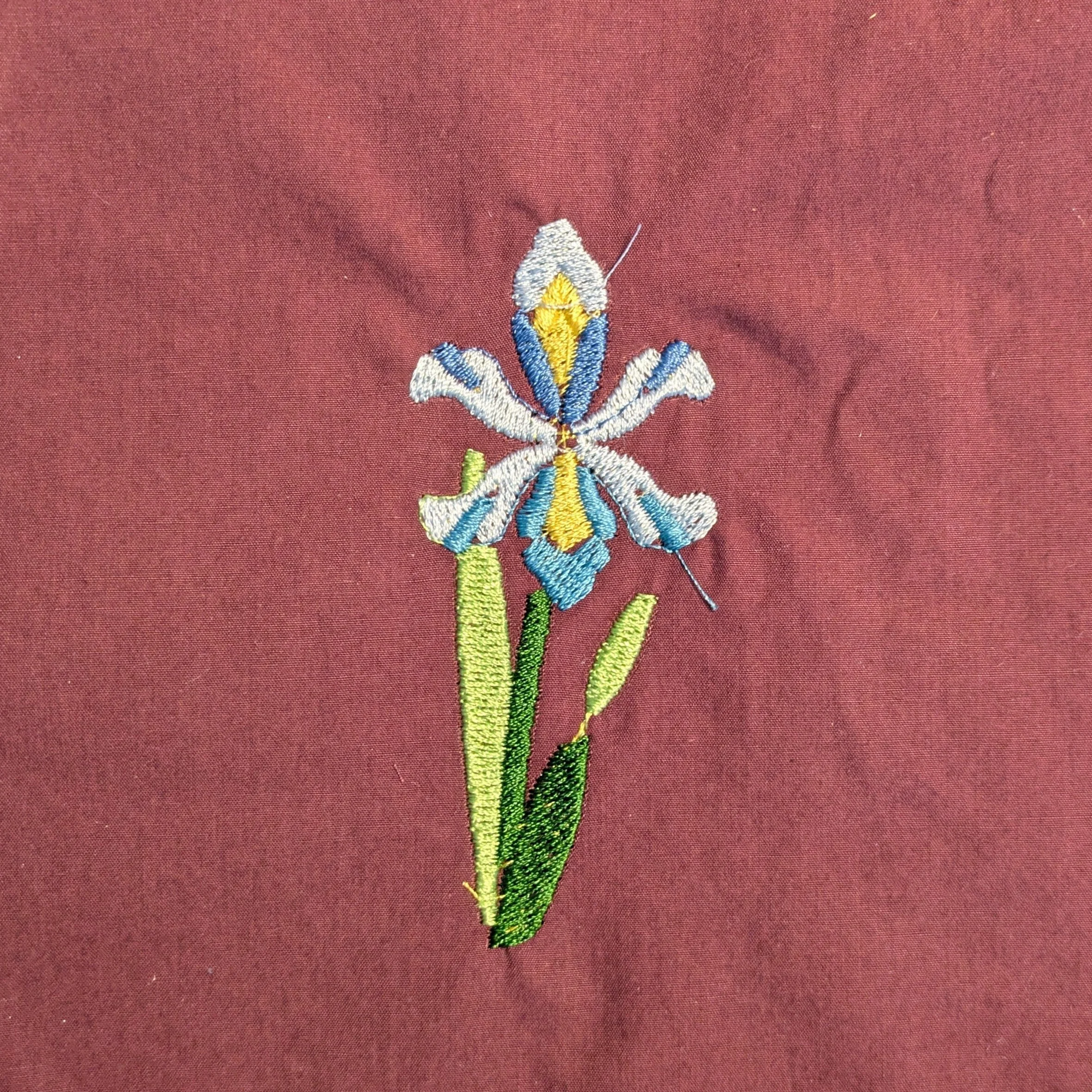 iris