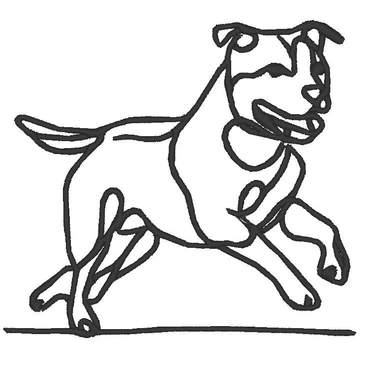 pittie running