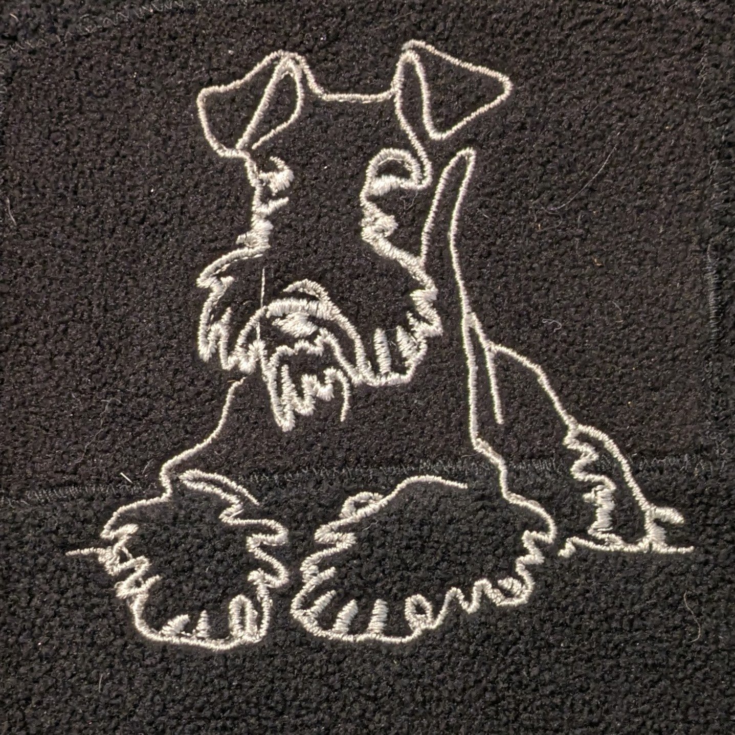 terrier laying