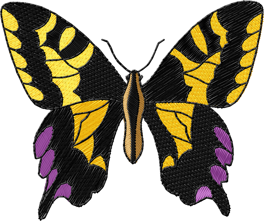 butterfly
