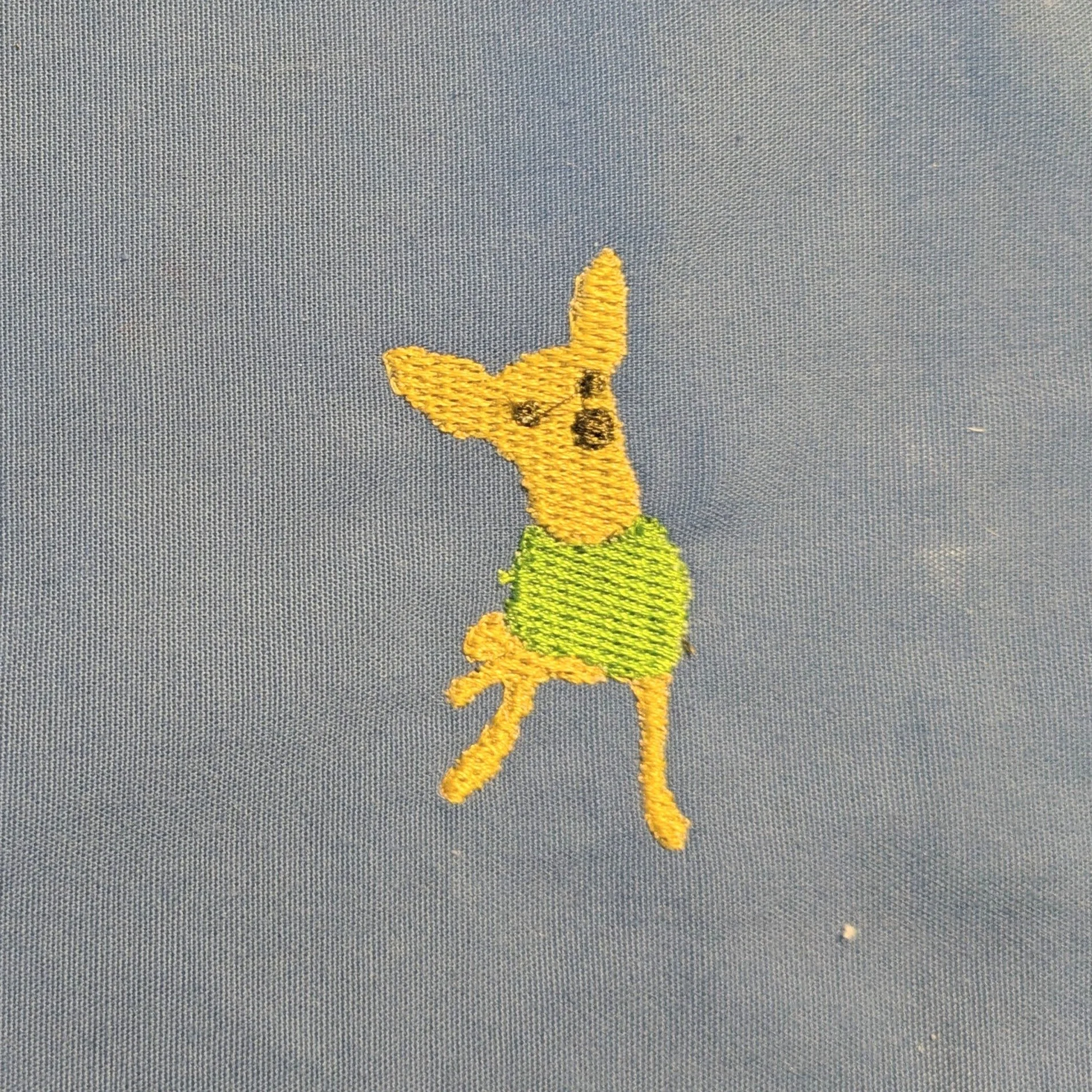 chihuahua