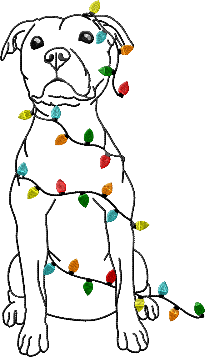 pittie with lights