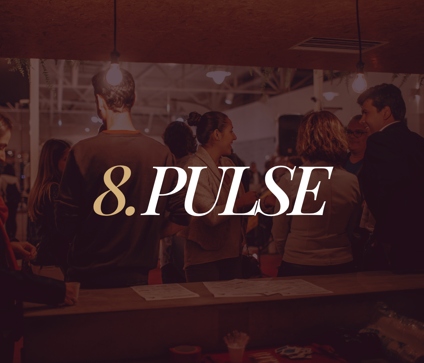 8.PULSE