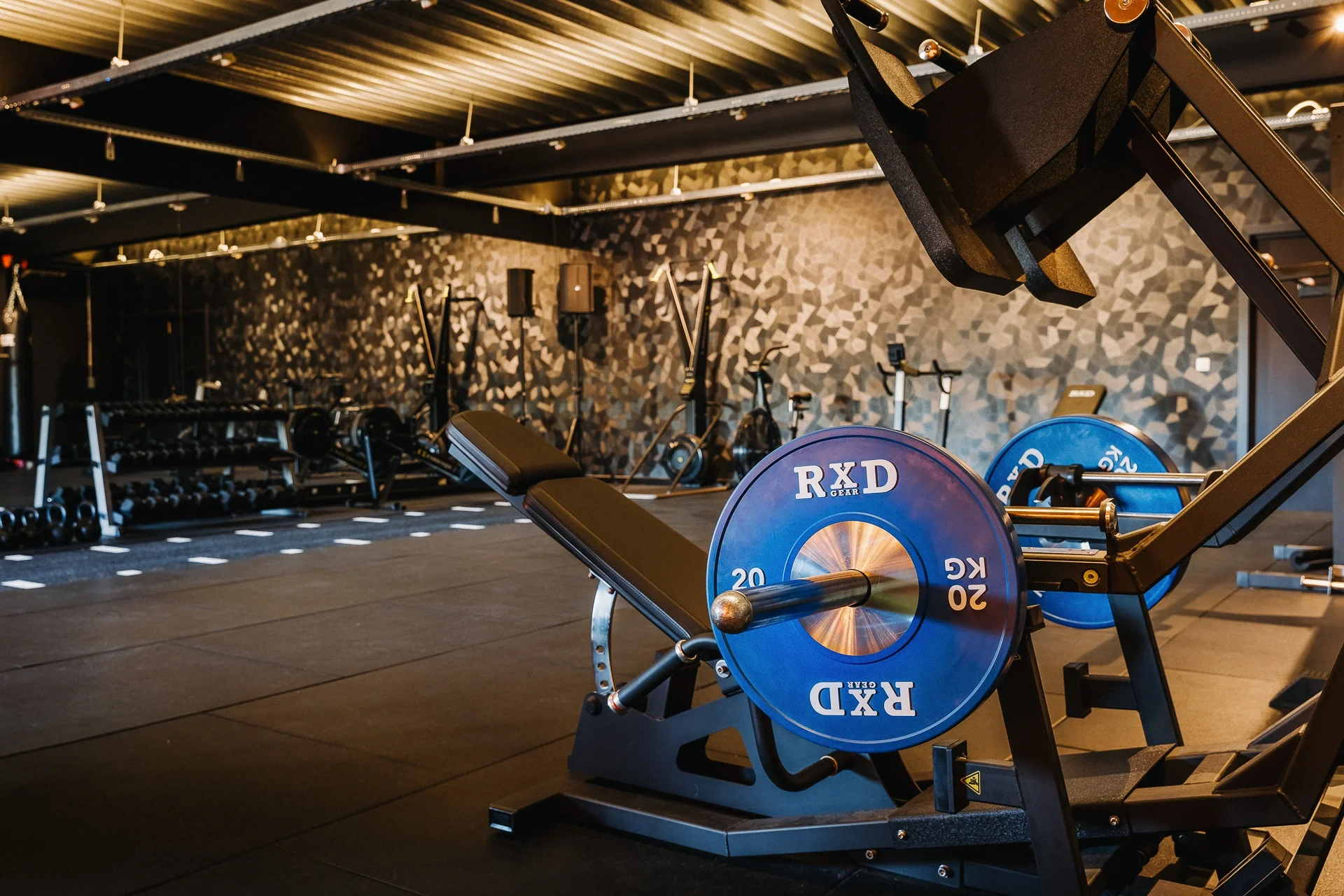 Personal training Personal fitness trainer Private Gym