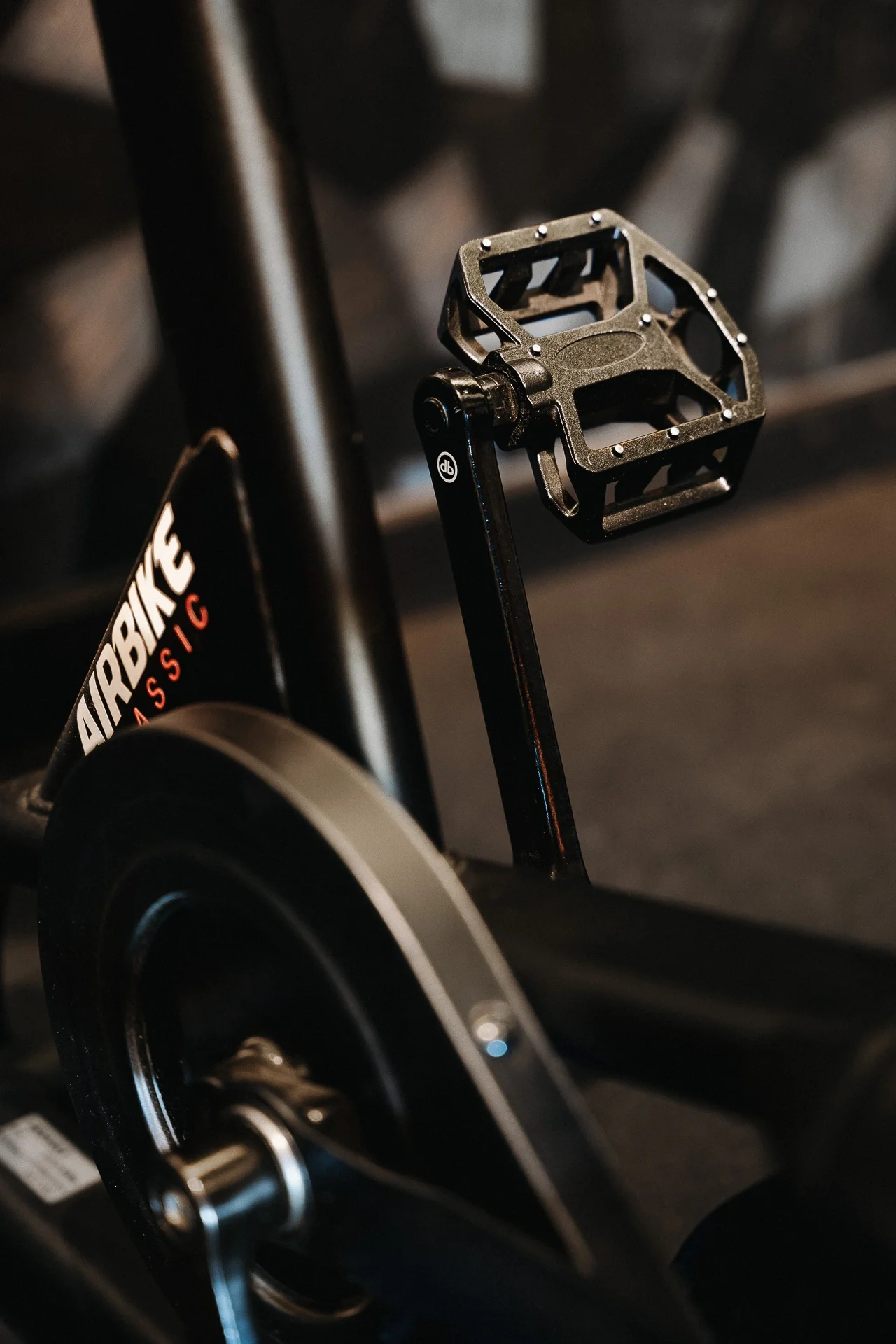 Personal training Personal fitness trainer Private Gym
