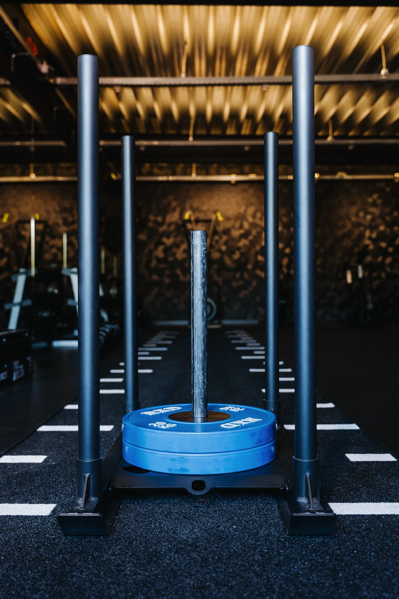 Personal training Personal fitness trainer Private Gym