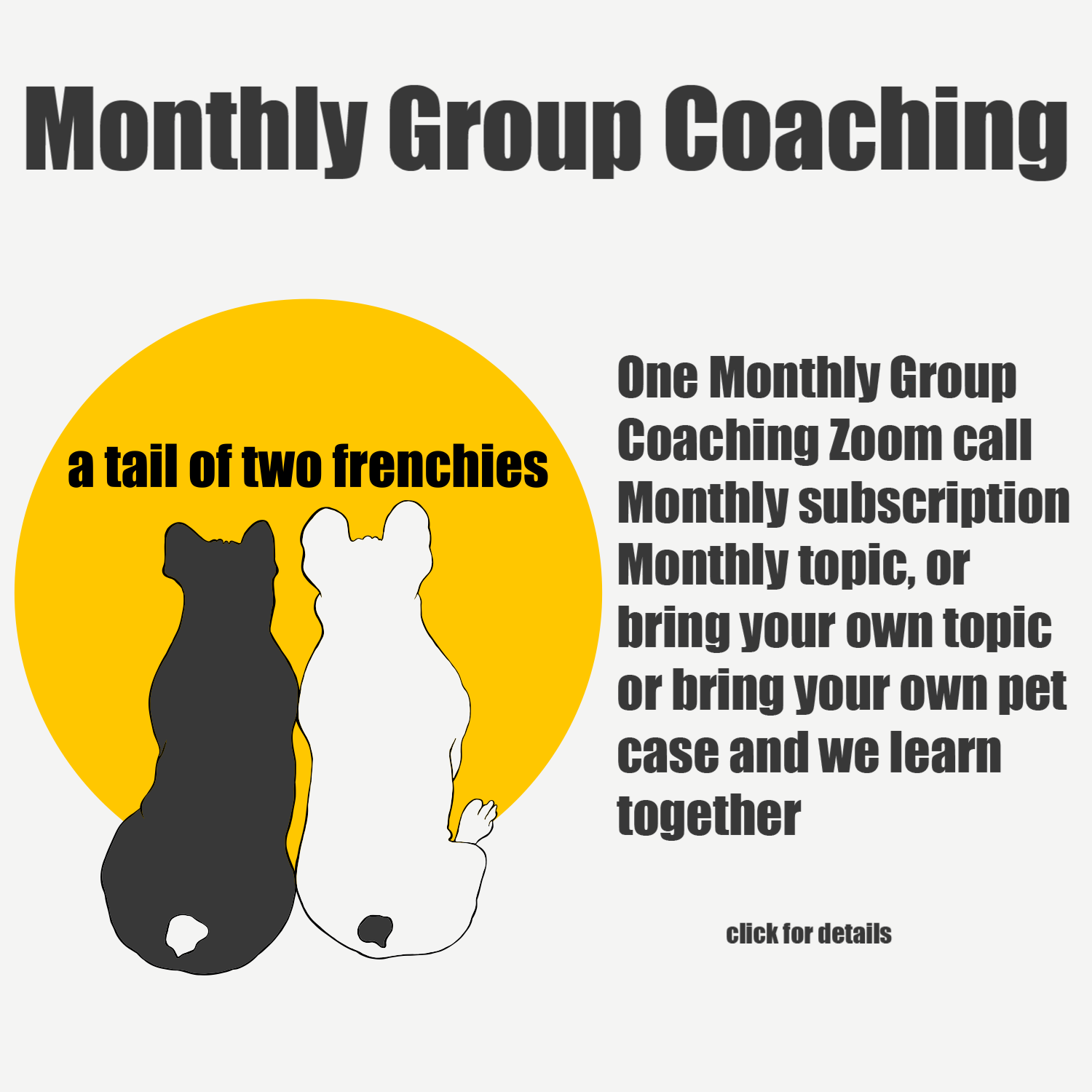 Monthly Group Coaching
