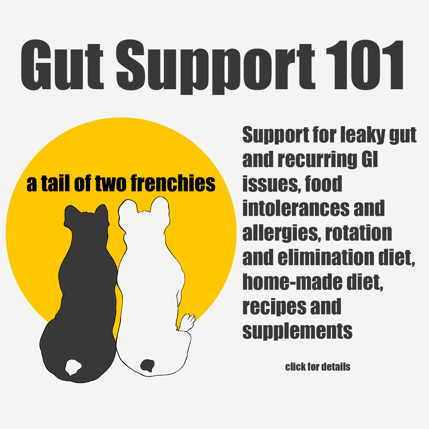 Gut Support 101