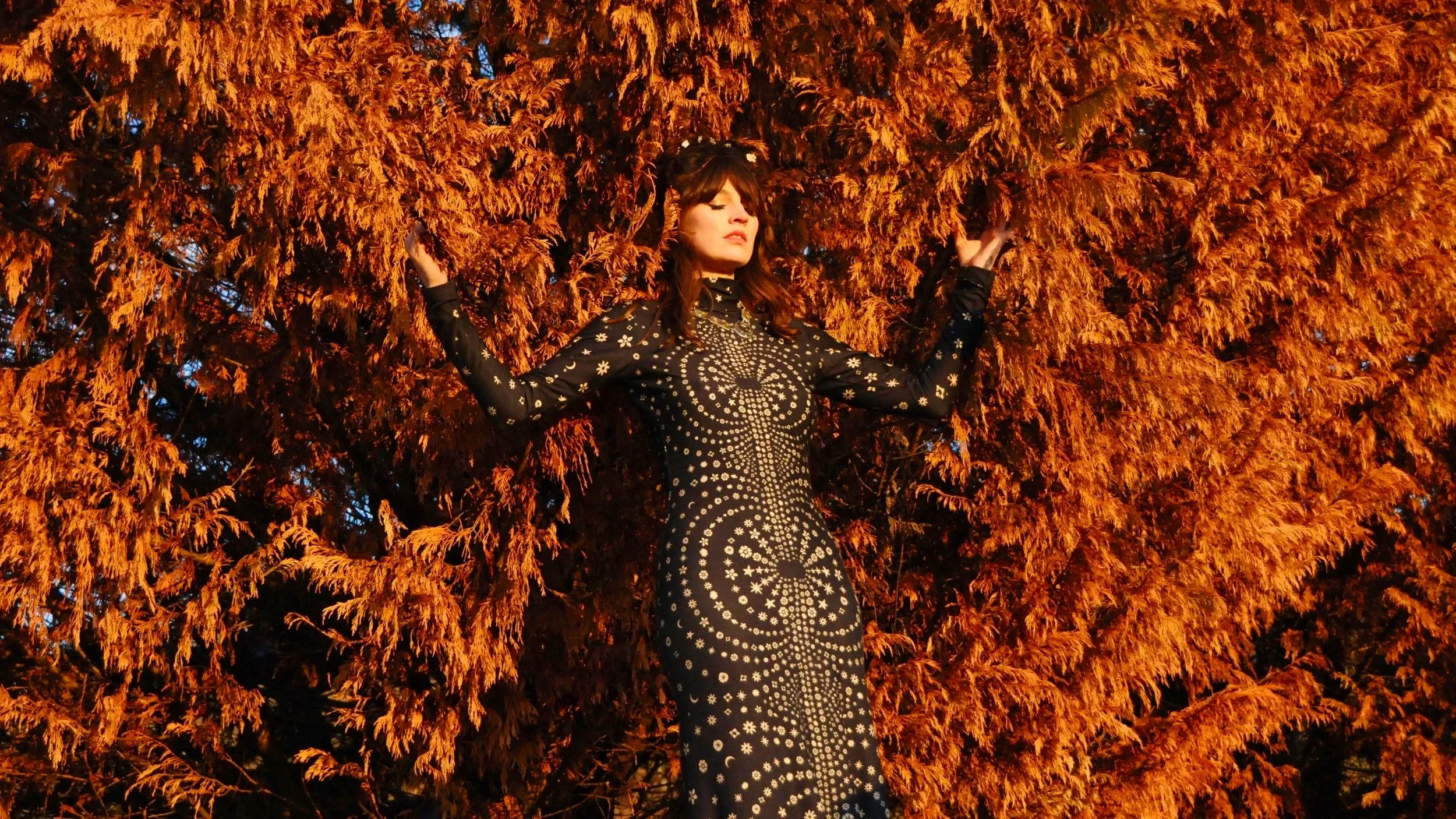 DSC_7544+%281%29.jpg