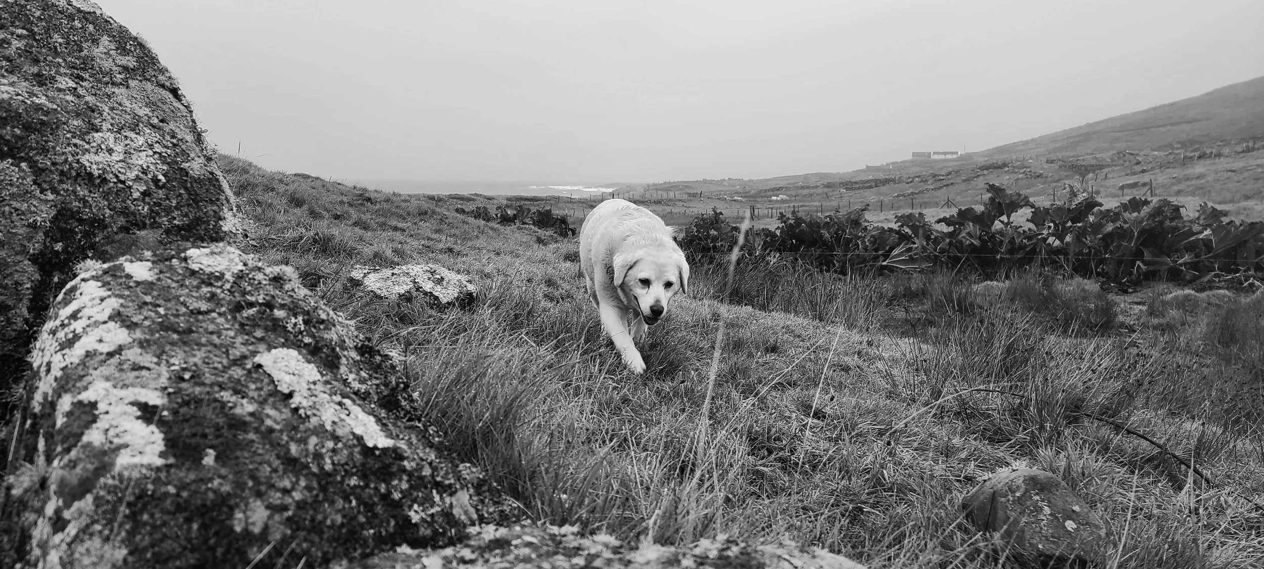 20231007_144101.jpg