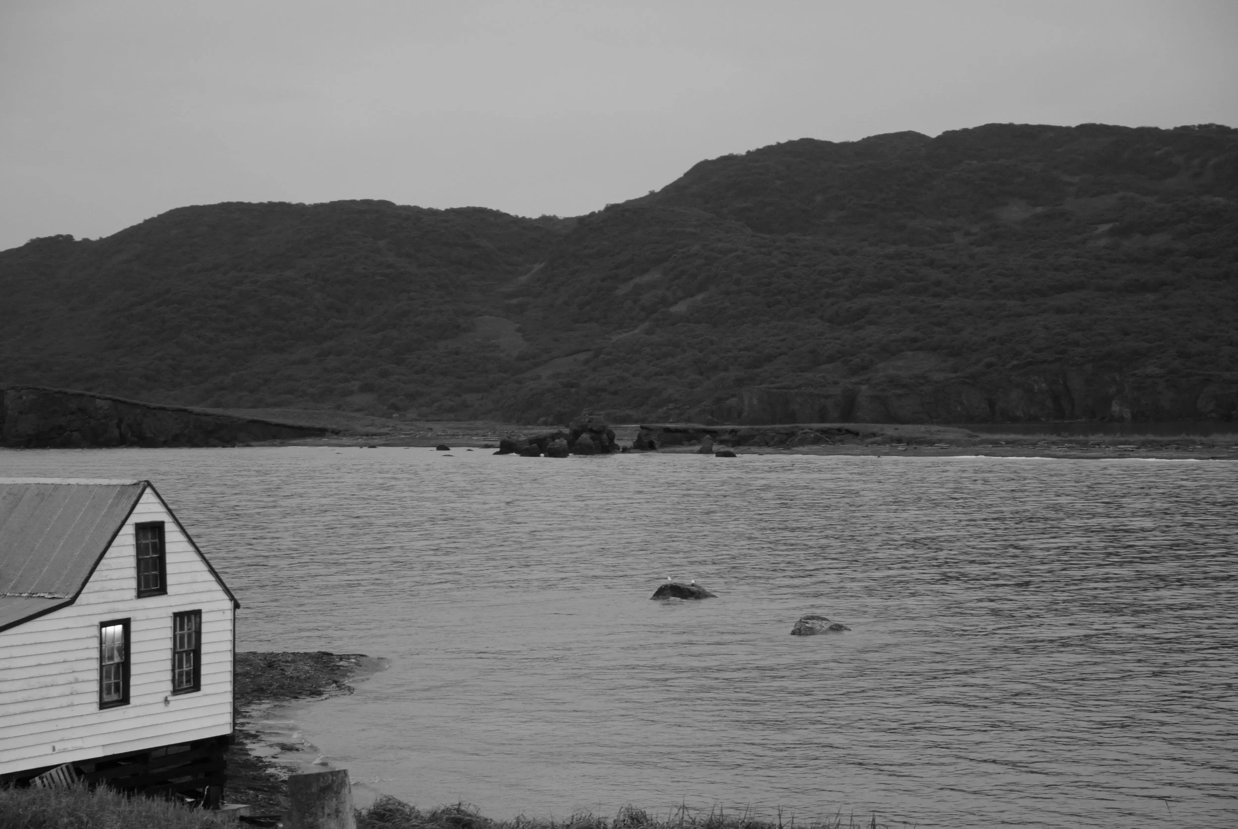 DSC_3487.JPG