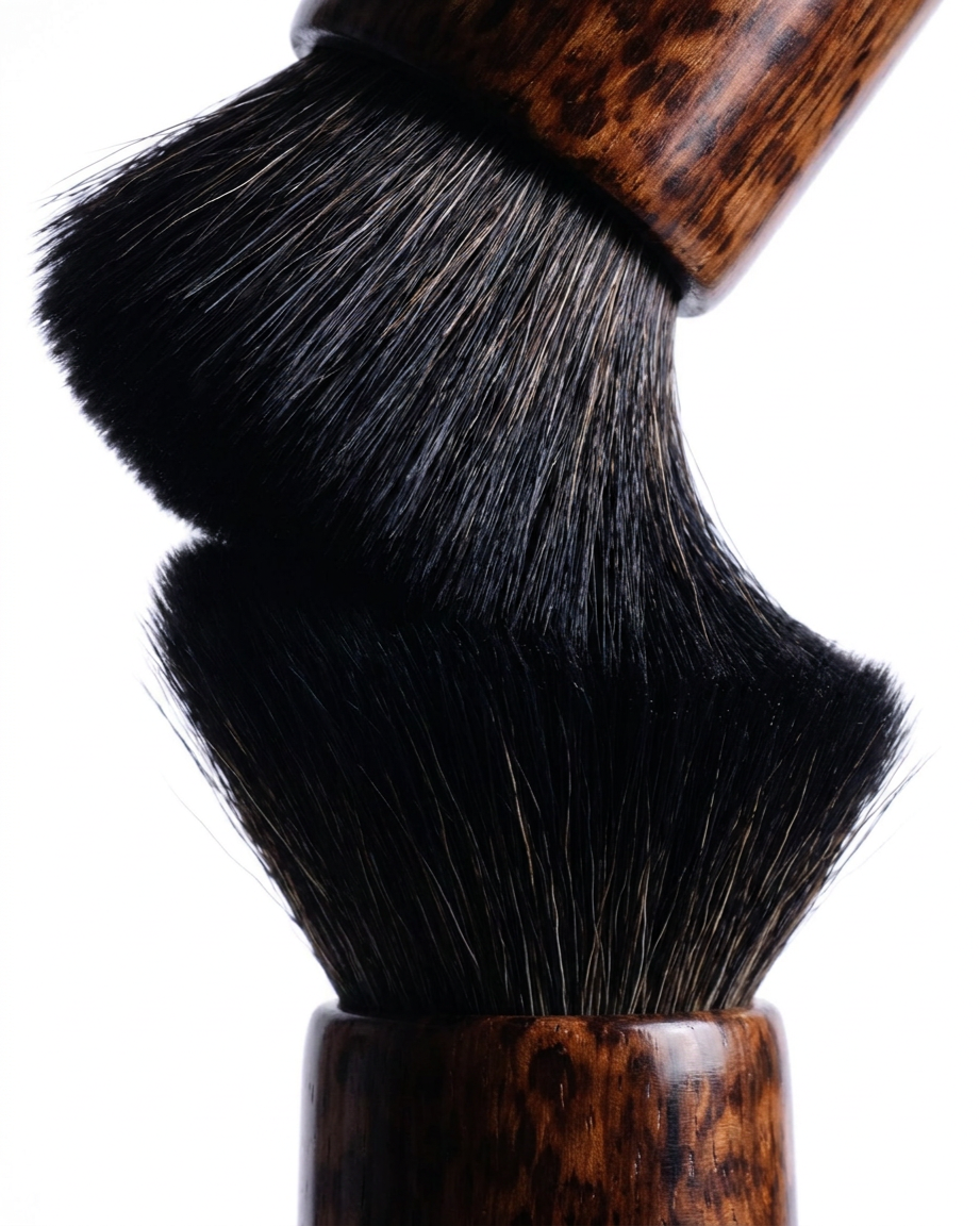 brushes by composed..png